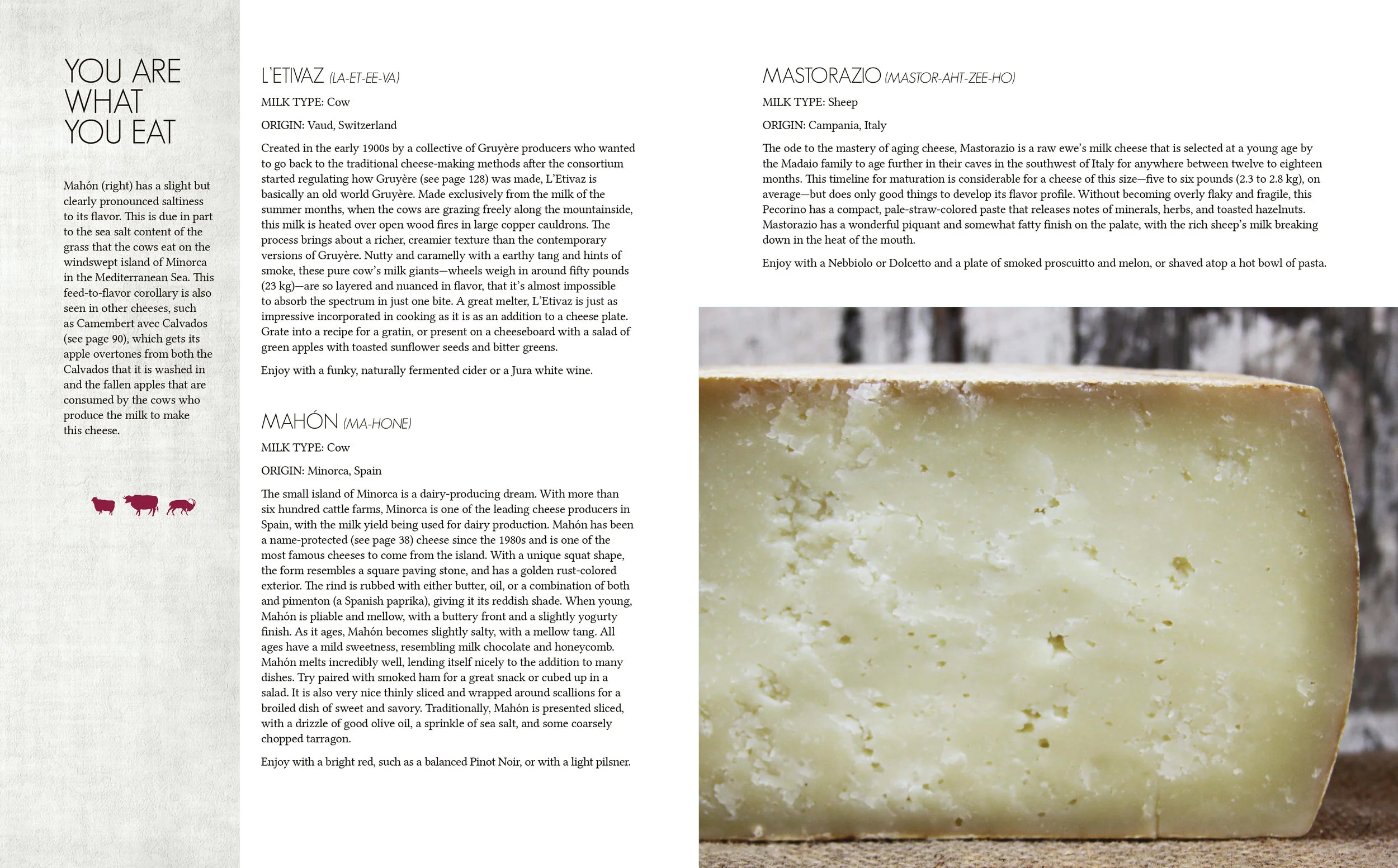 Cheese Pages67.jpg