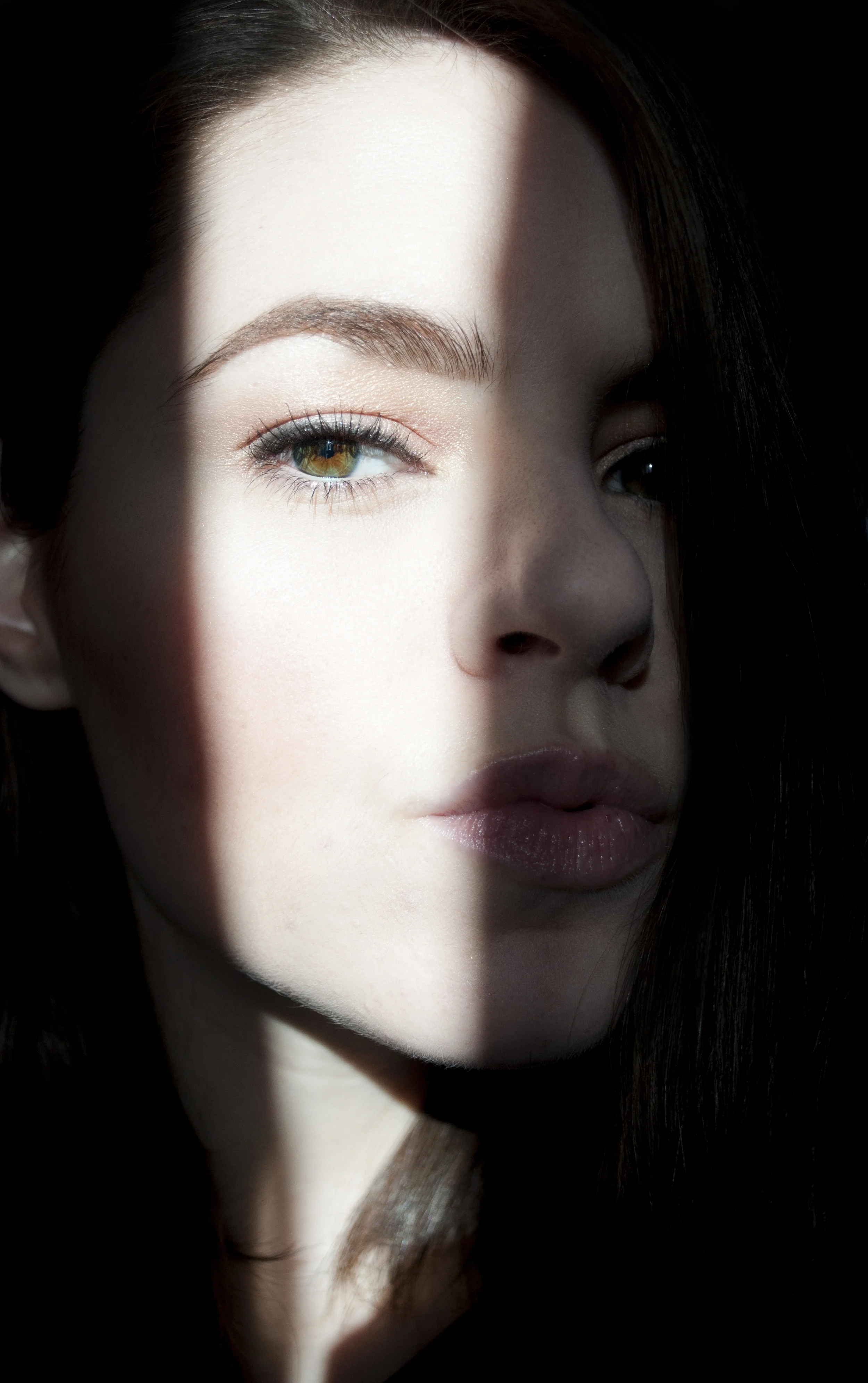 profilelight01.jpg
