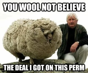 funny-sheep-quotes003.jpg