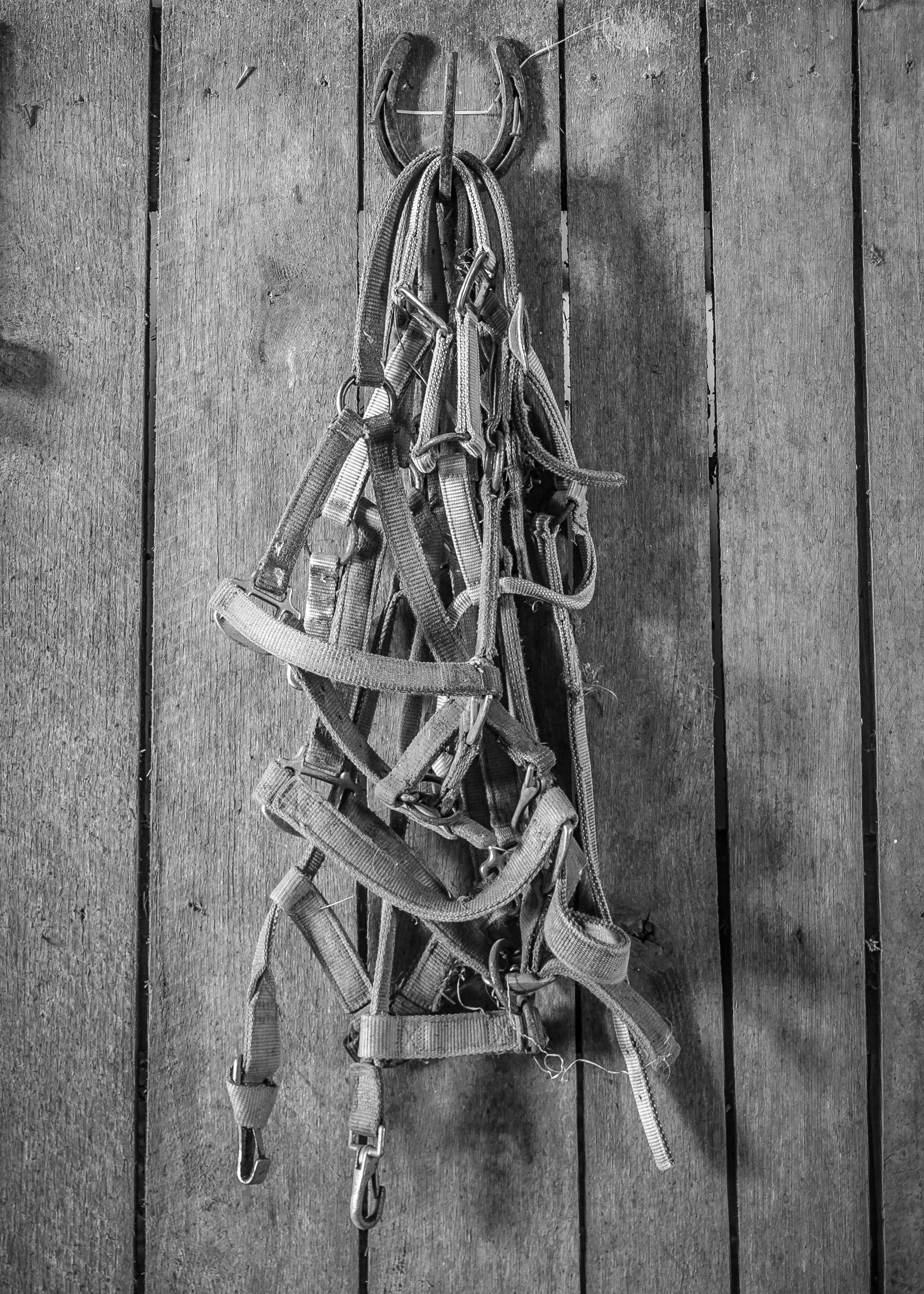 Harness Cluster