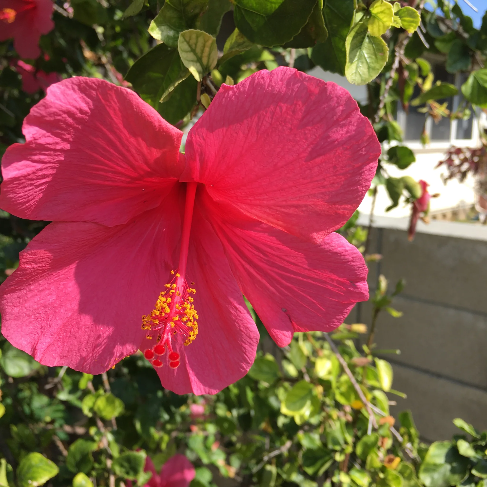 This photo reminds me to GET OUTSIDE! :)