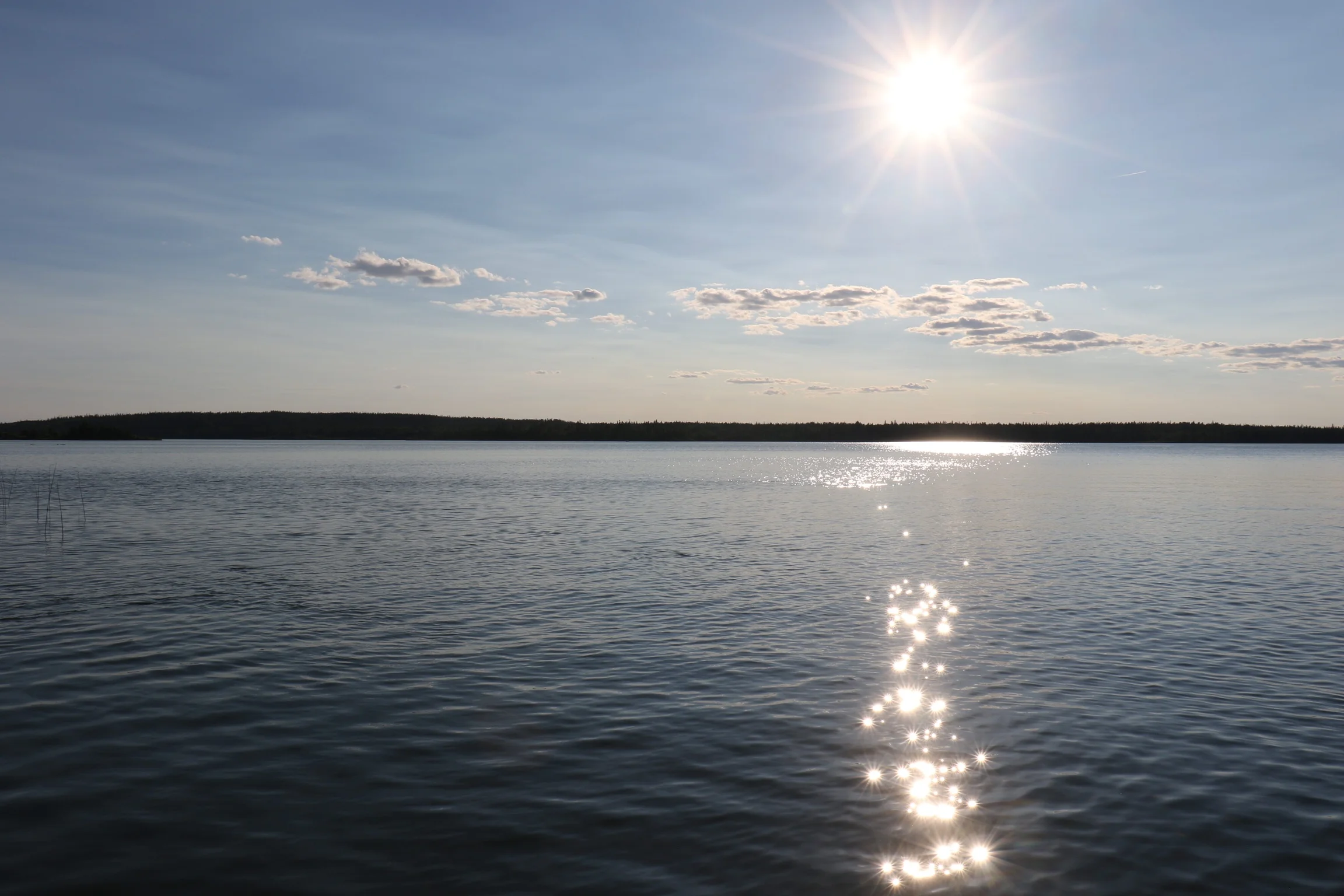 Skype dates and Sperm Banks