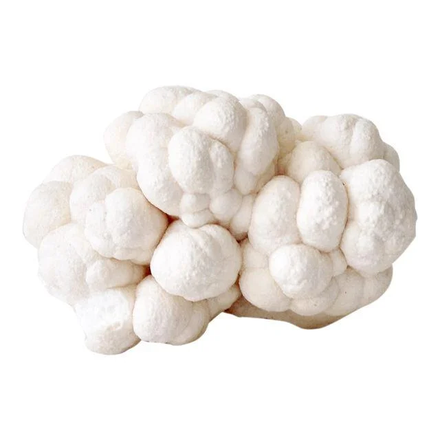 Bubble Coral Chairish.jpeg