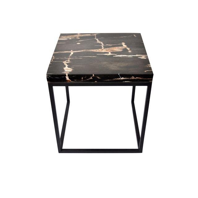 Pretrified Wood Table Black Chairish.jpeg