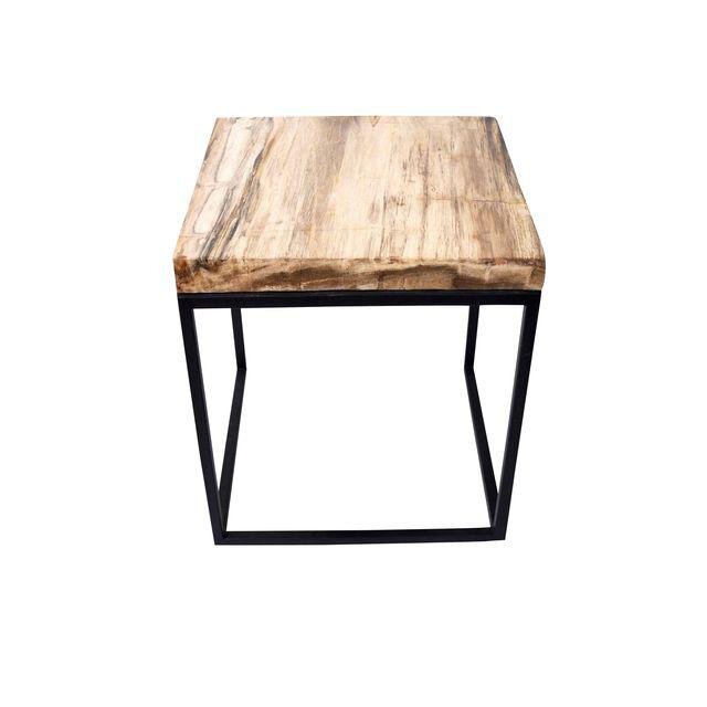 Petrified Wood Table Tan Chairish.jpeg