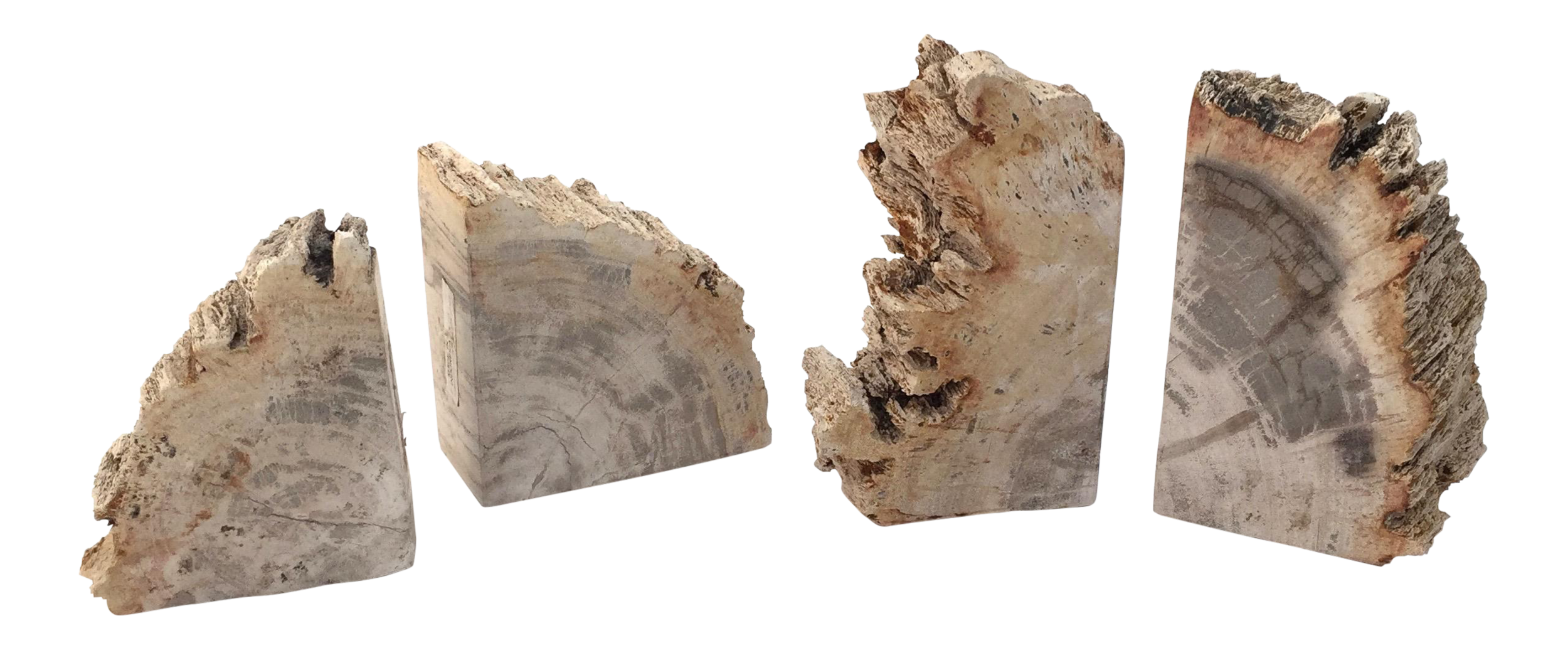 petrified-wood-book-ends-set-of-4-2116.png