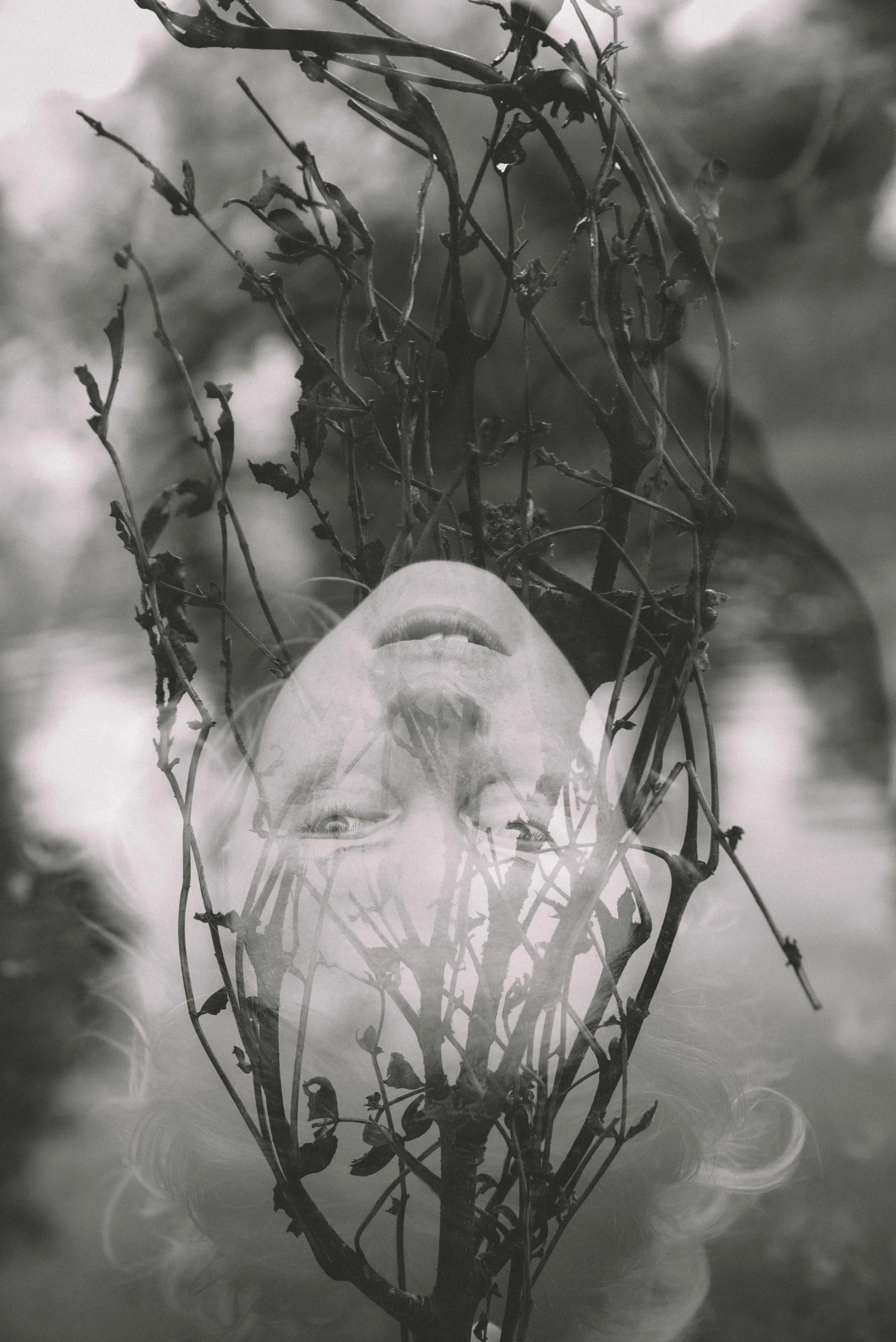 untitled-7.jpg