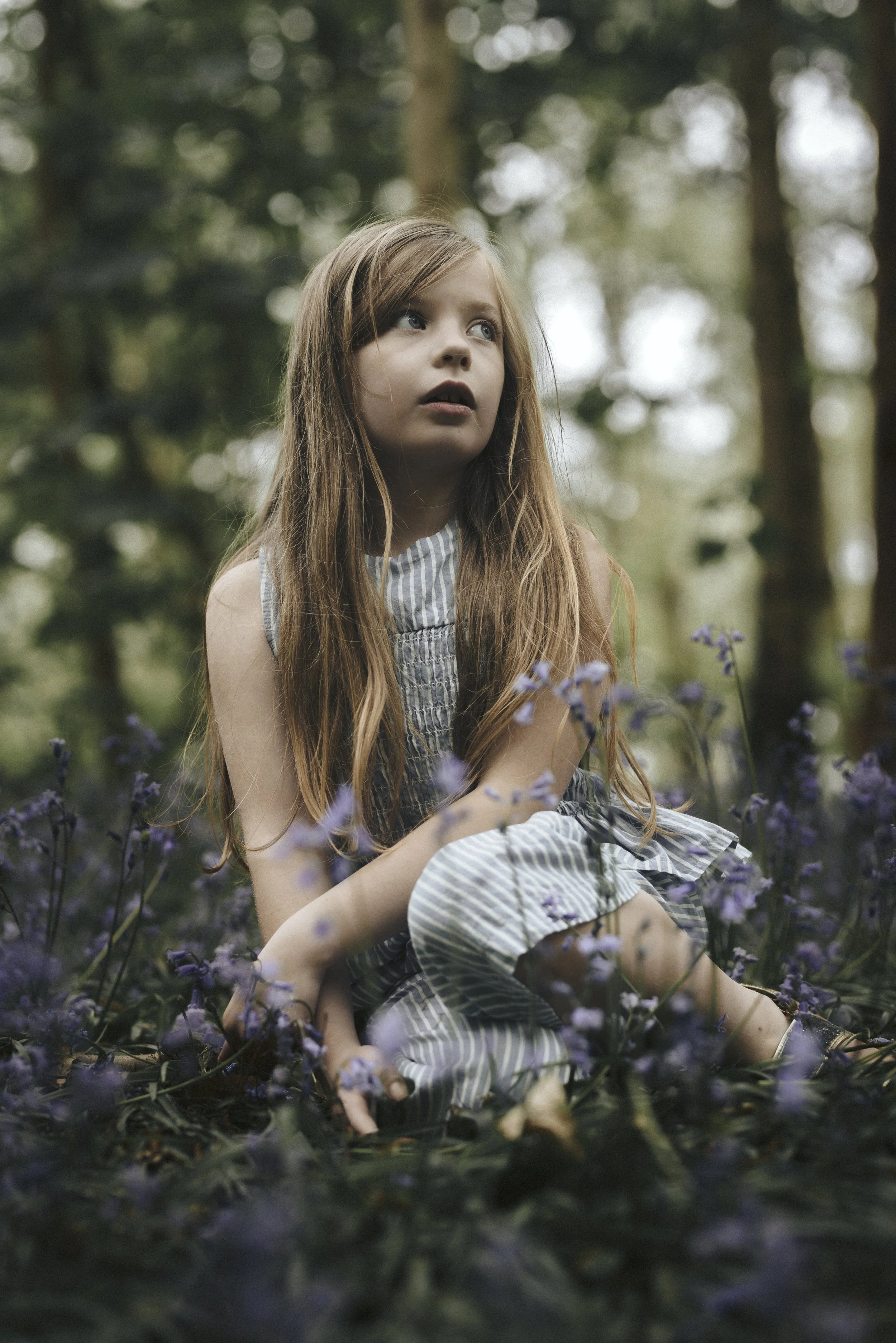 untitled-3.jpg