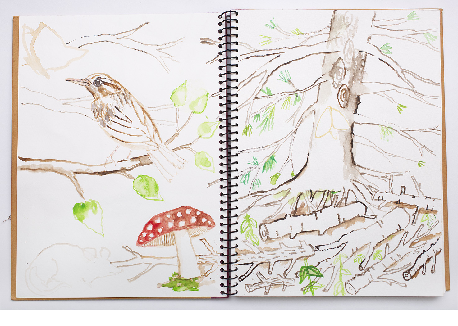 Untitled Watercolor Sketchbook
