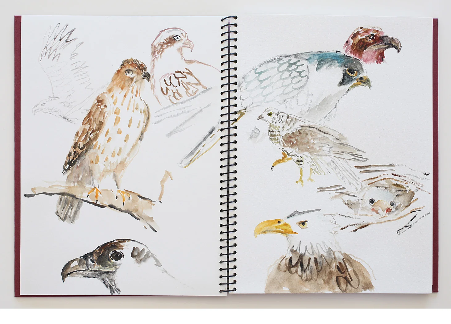 Untitled Watercolor Sketchbook