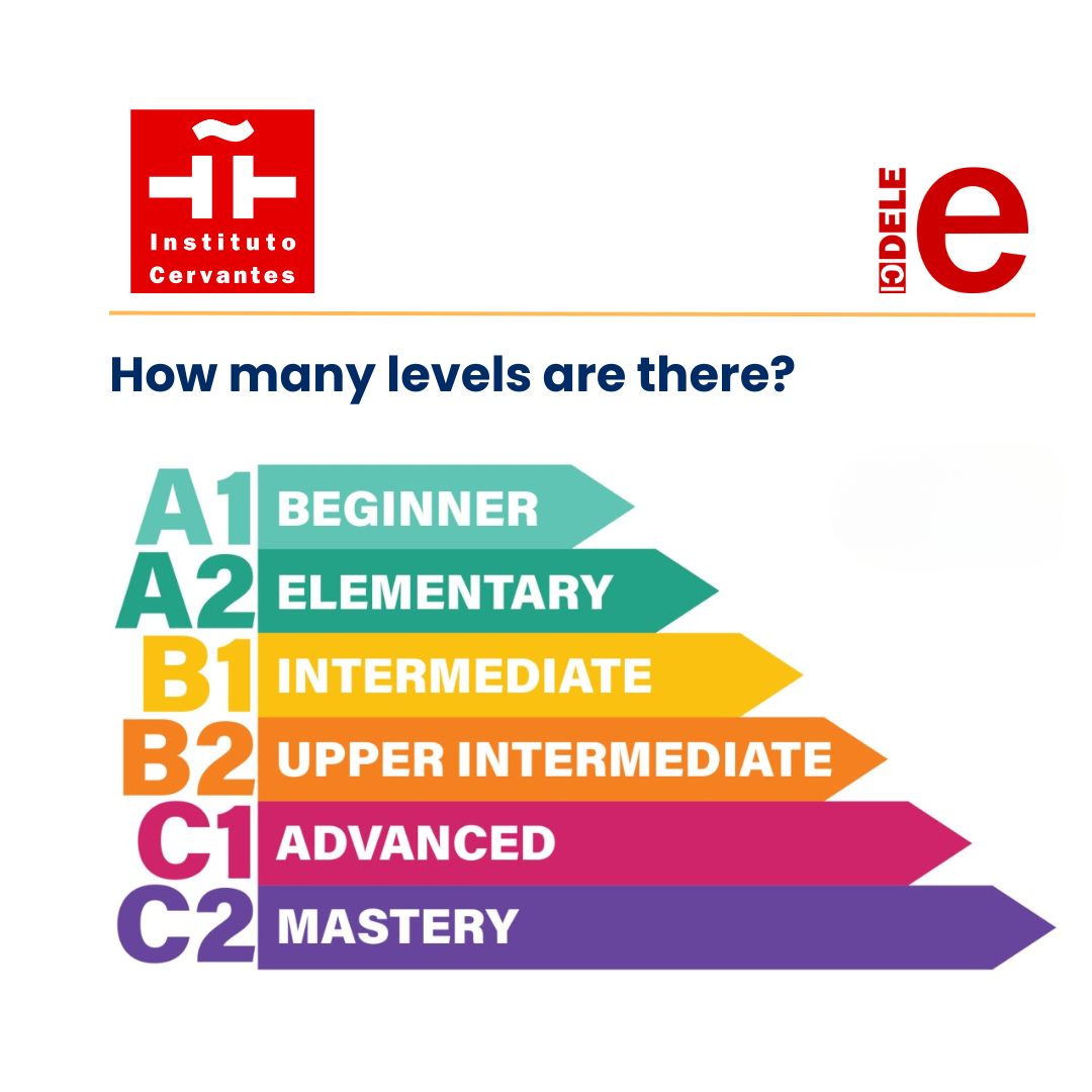 Spanish Basic Class Adult Spanish Classes — Isabella & Ferdinand