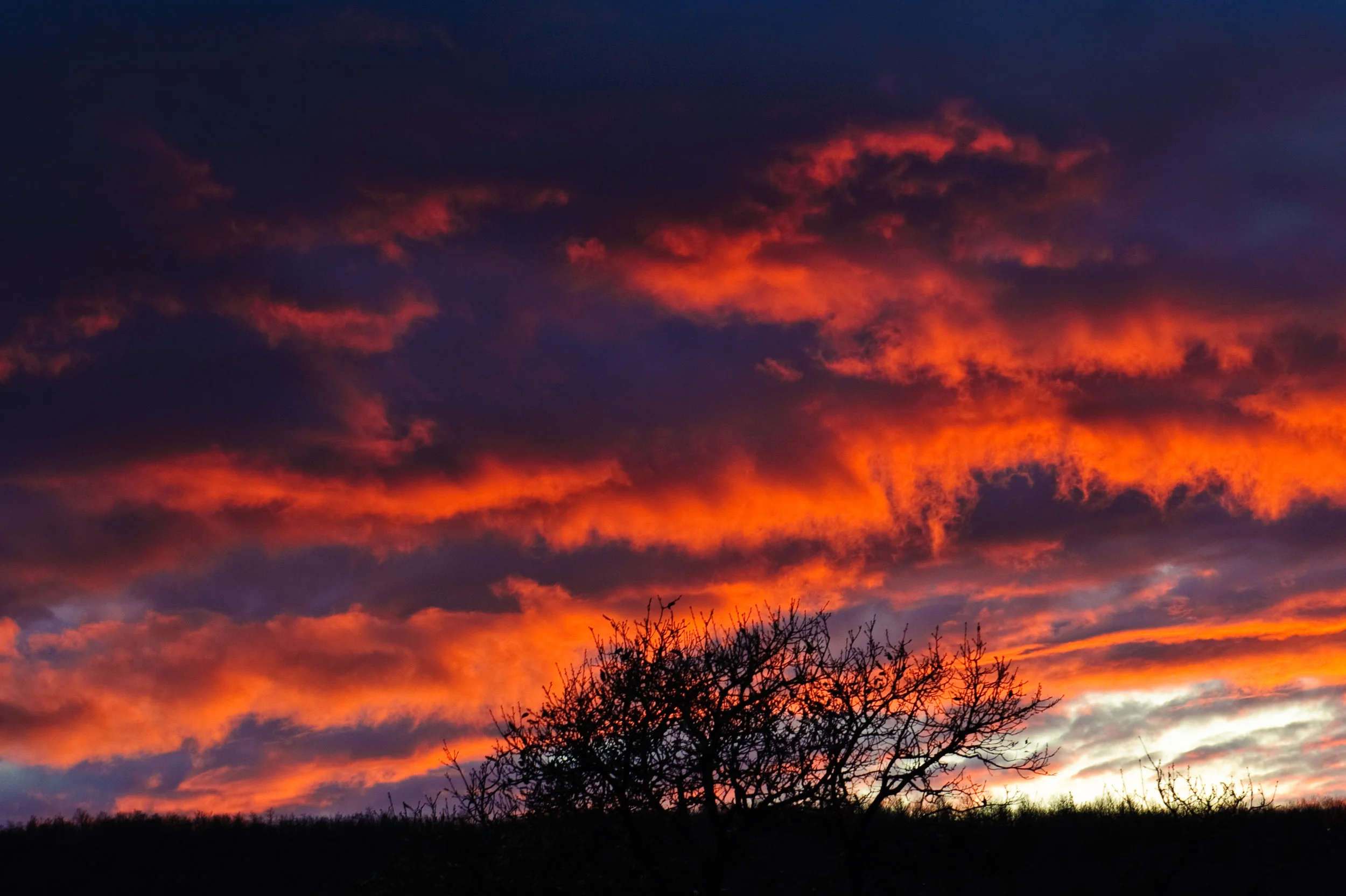 The God Who Hears You