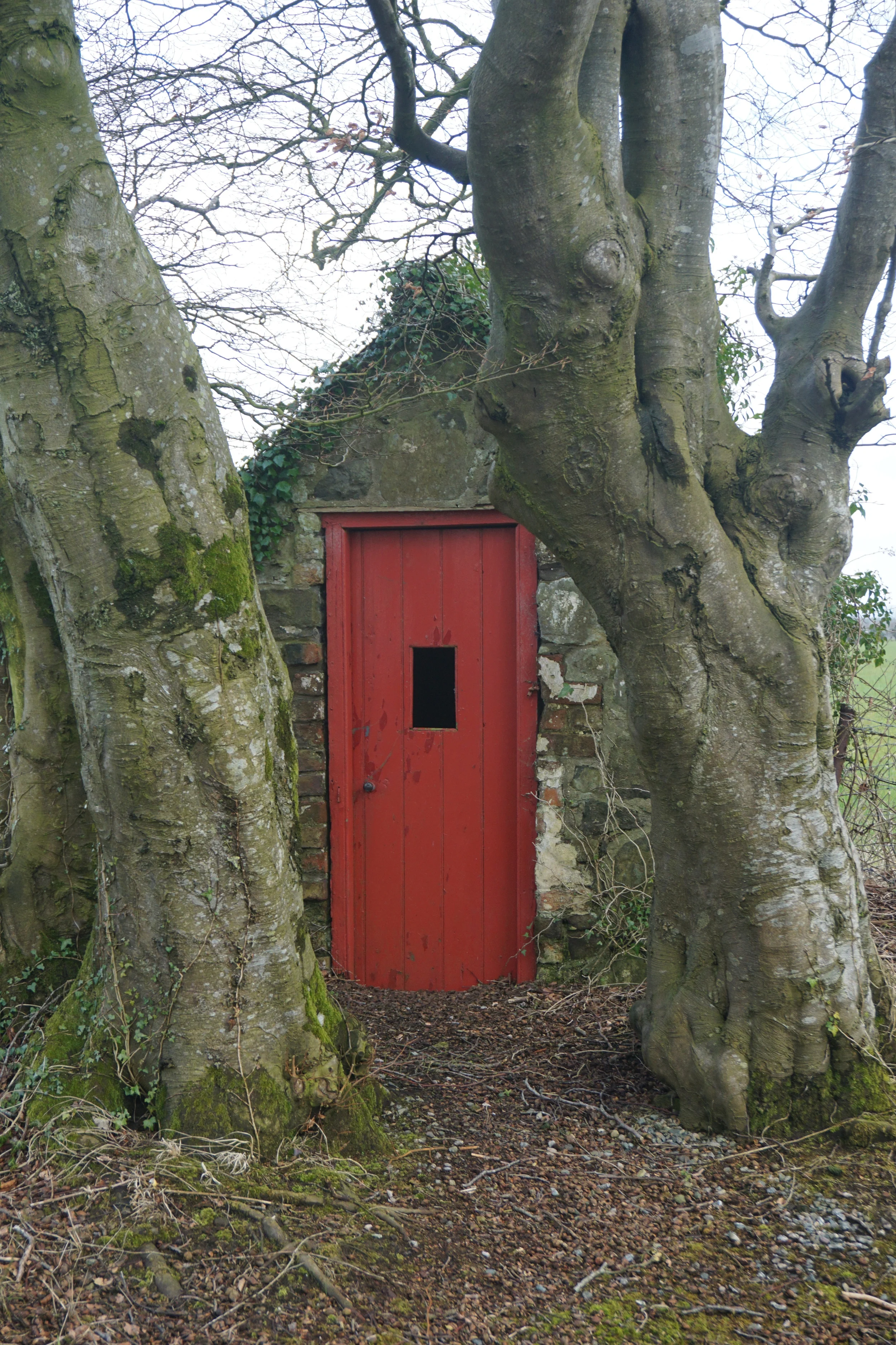 THE OLD PRIVY