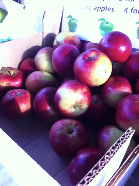The very popular Red Devil apple from Kenny Redmond's orchard