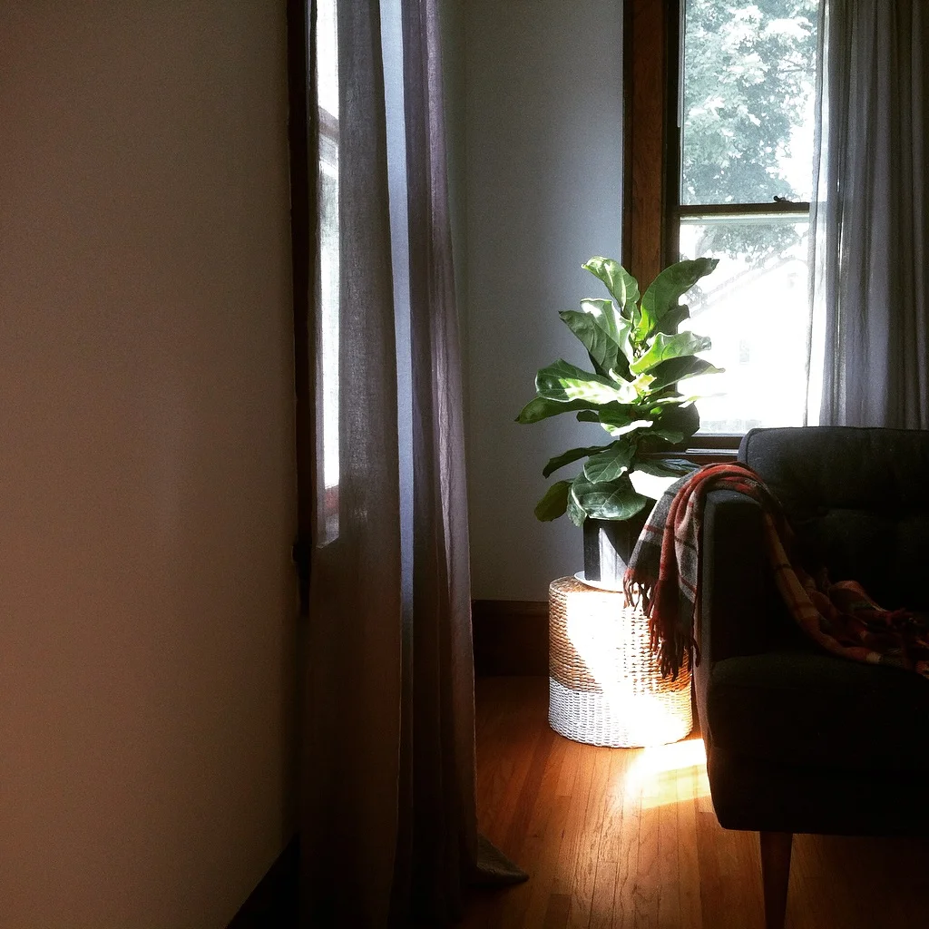 image_10.jpeg