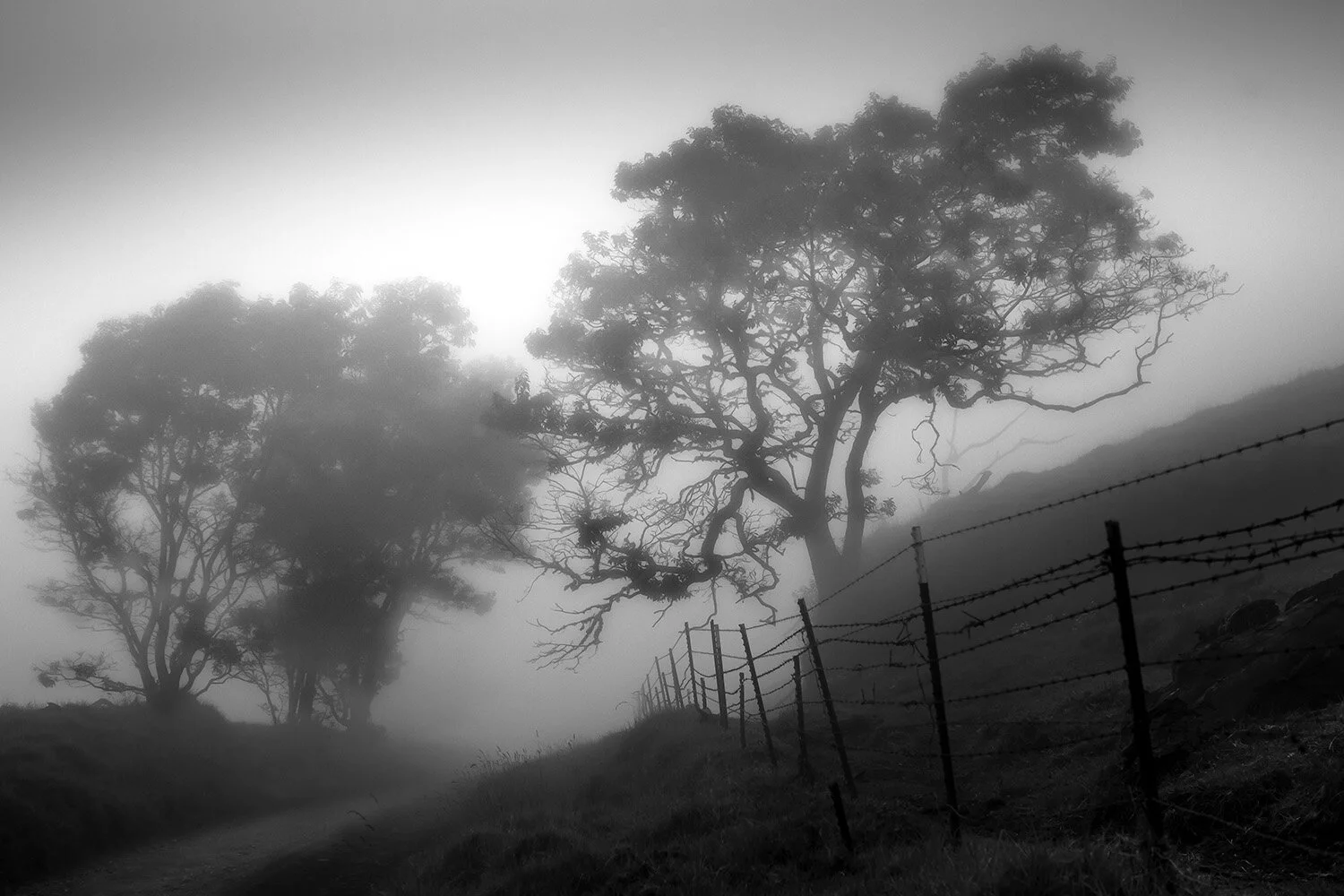places_804.jpg