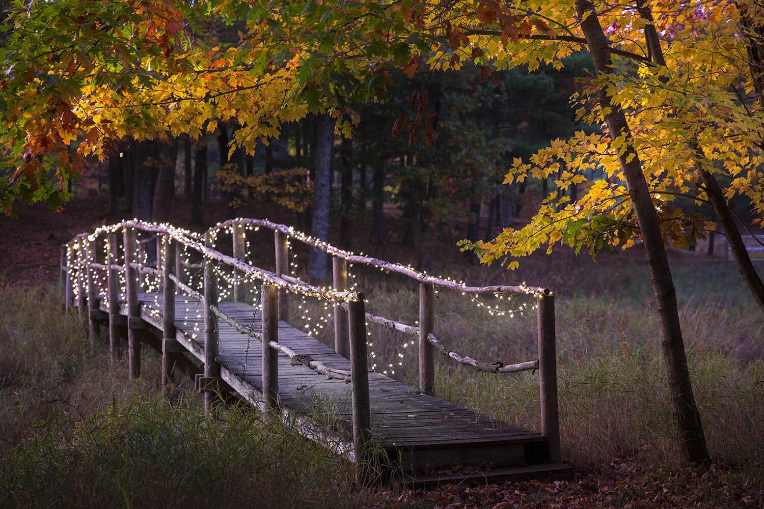 places_818.jpg