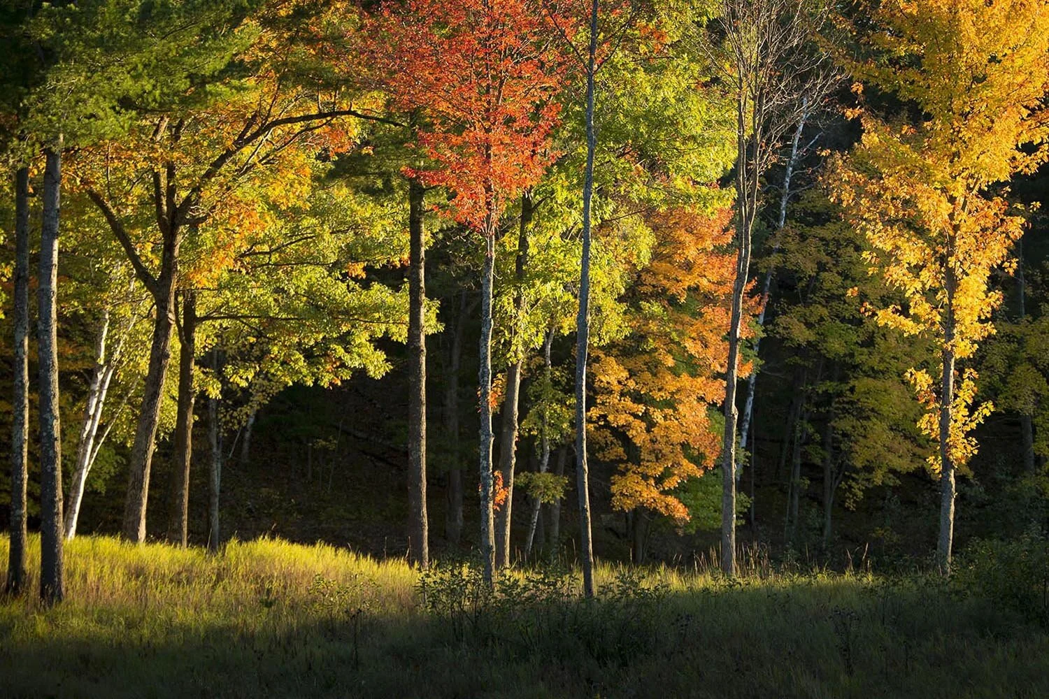 places_817.jpg