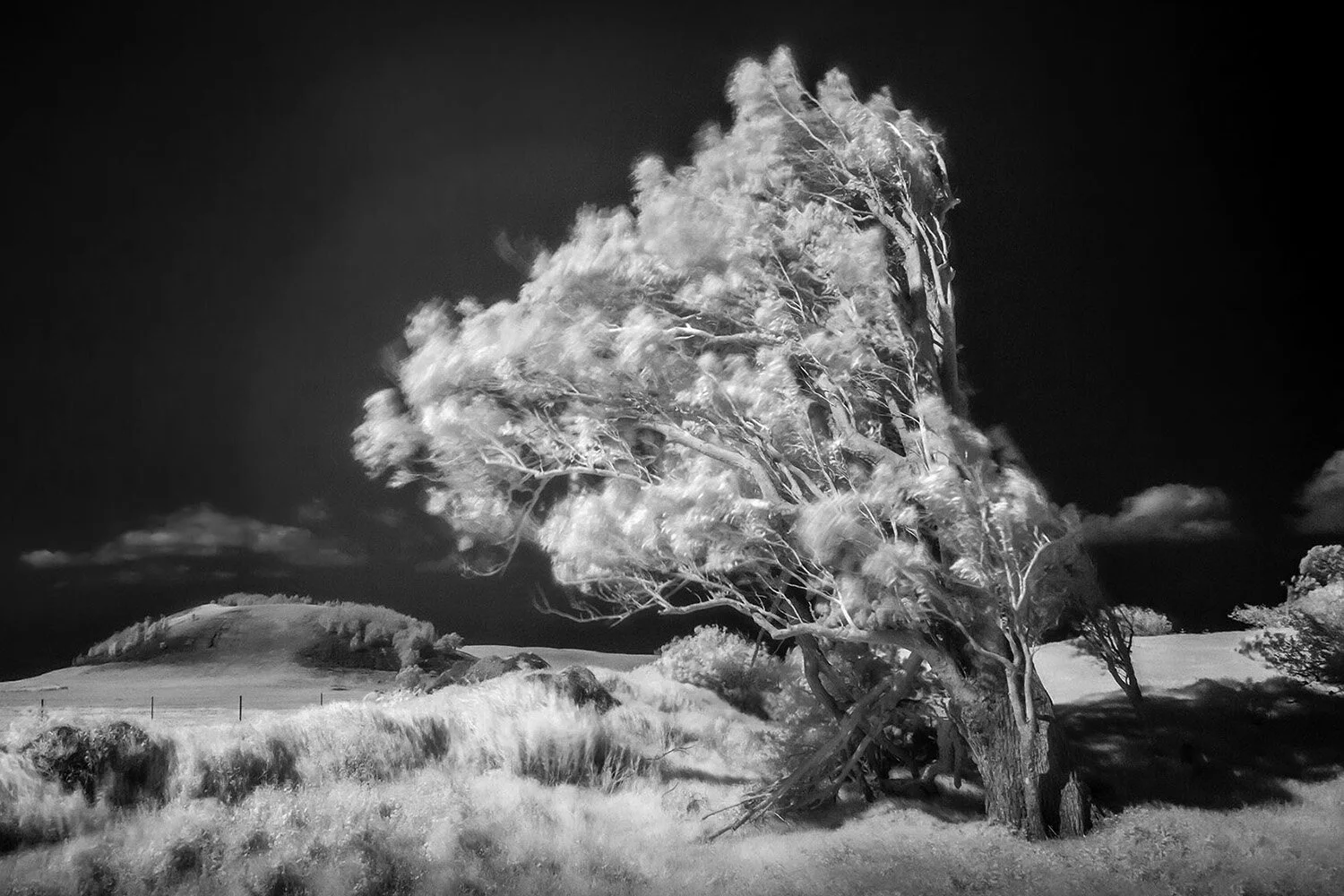places_819.jpg