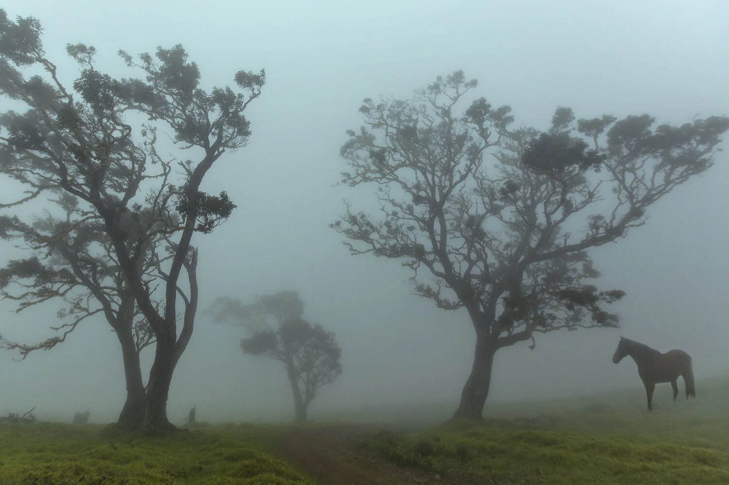 places_825.jpg