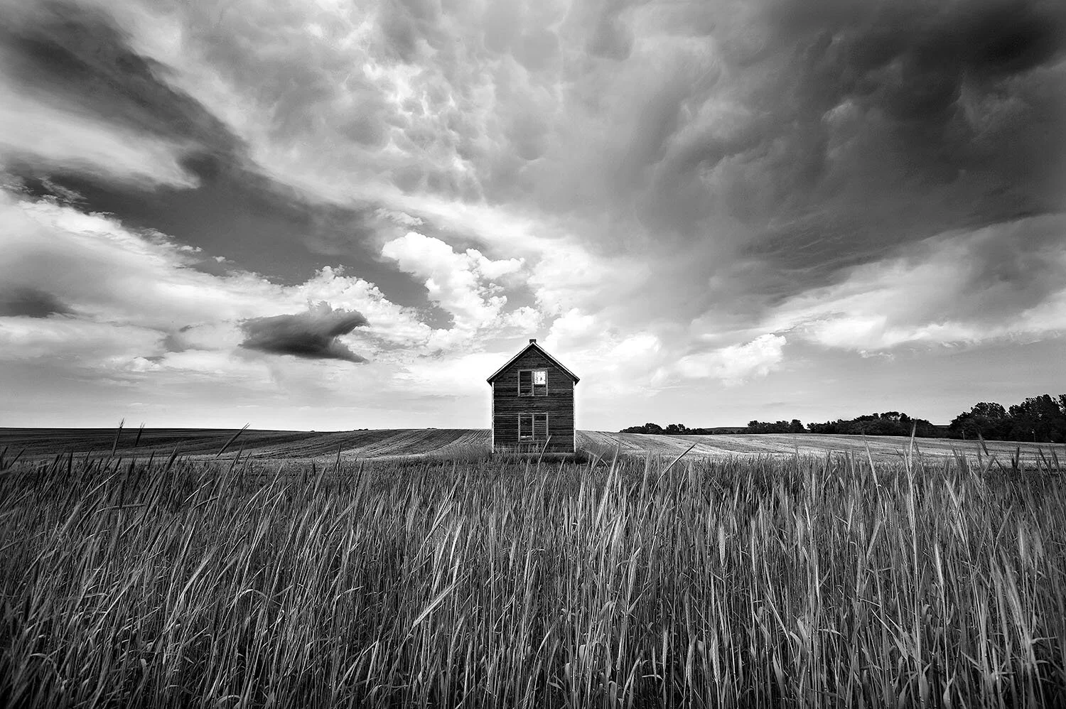 red_barn_web.jpg