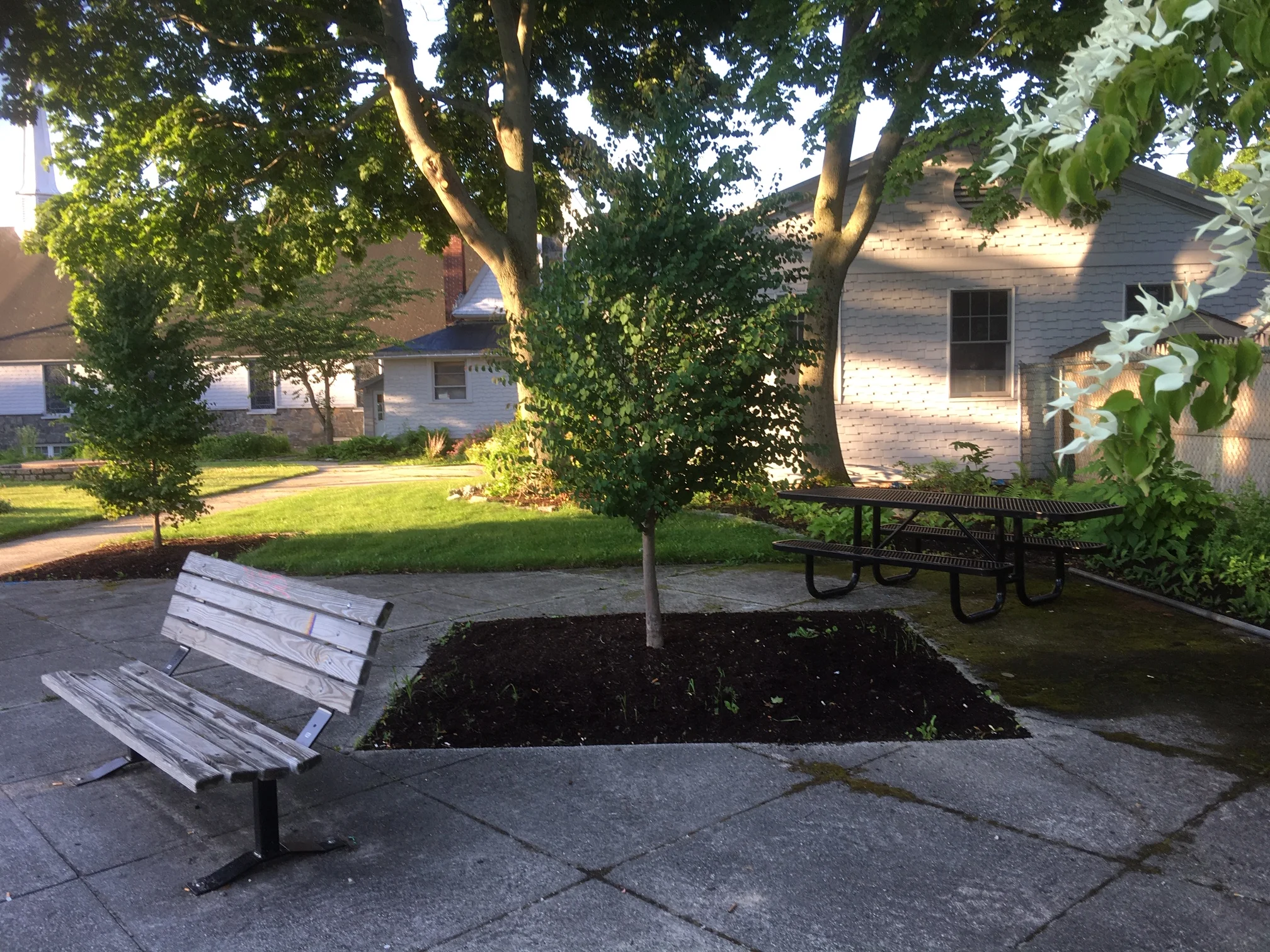 On the ground improvements - Thanks Portland! 