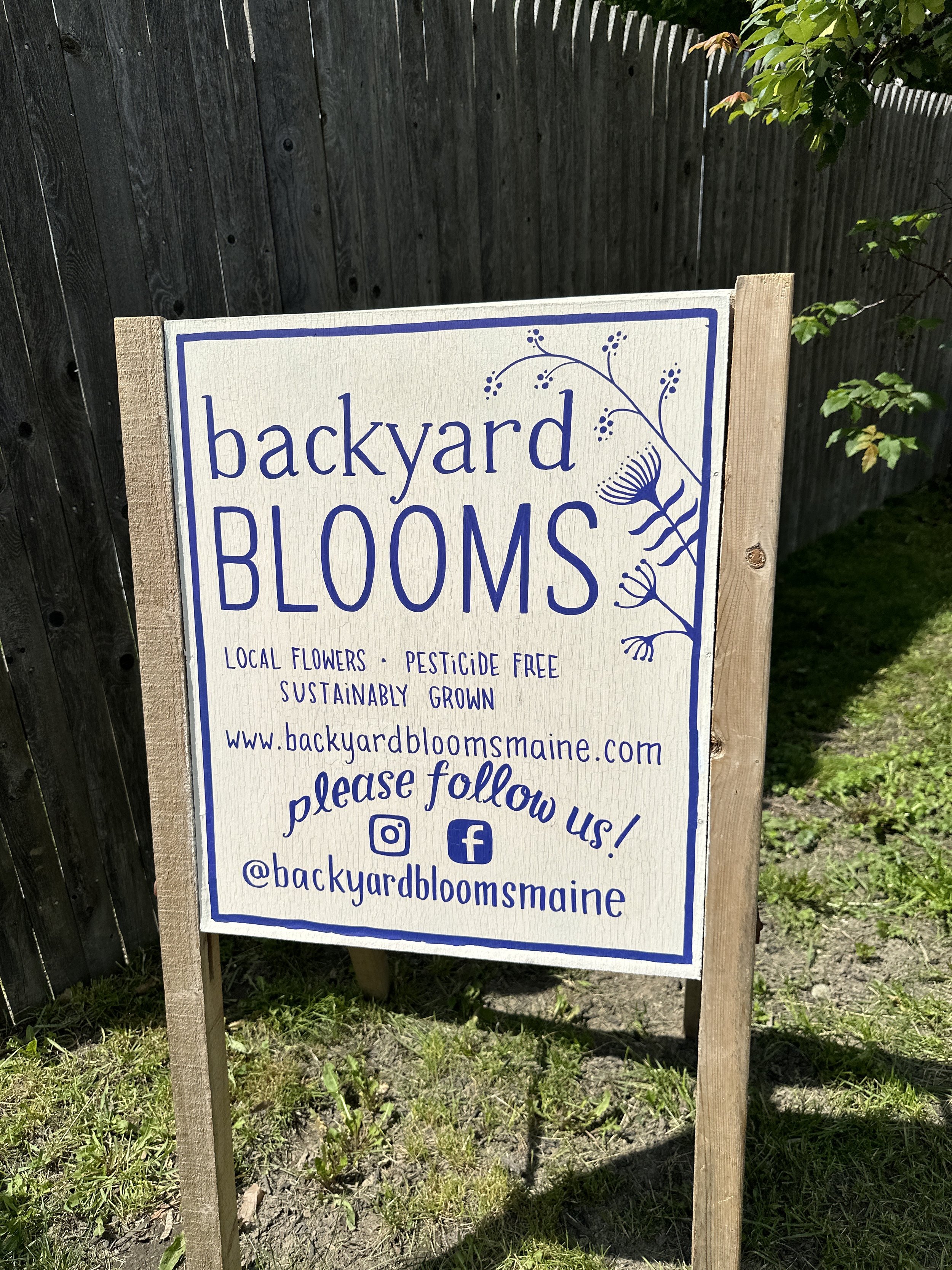 backyard blooms.JPG