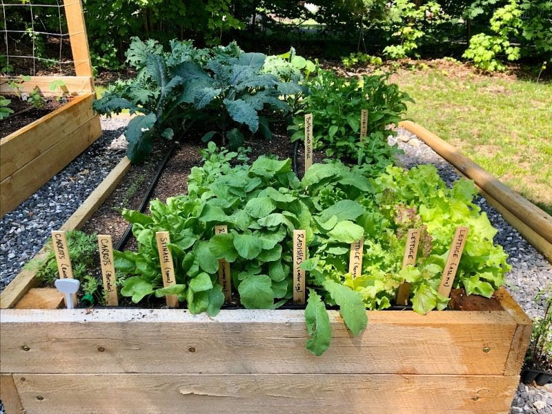 Raised Bed.jpeg