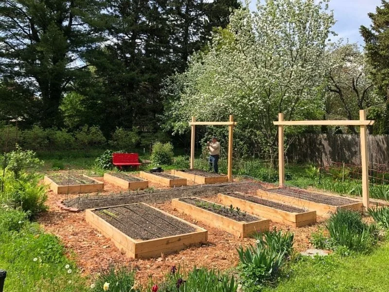 Fresh Food Gardens in Woodfords Corner