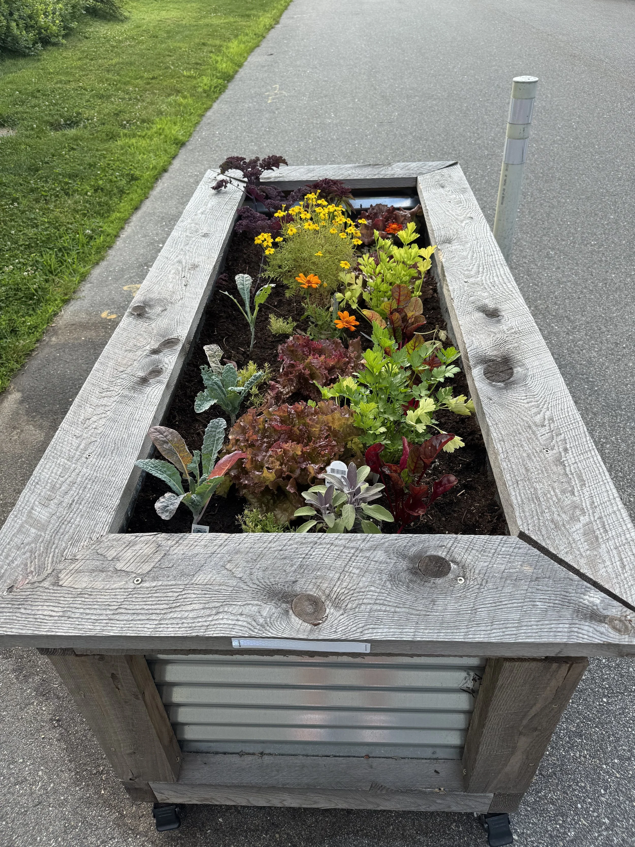 Mackworth planters 2.jpg