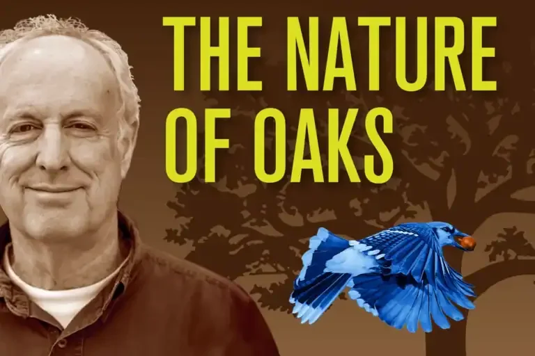 The Nature of Oaks Image.webp