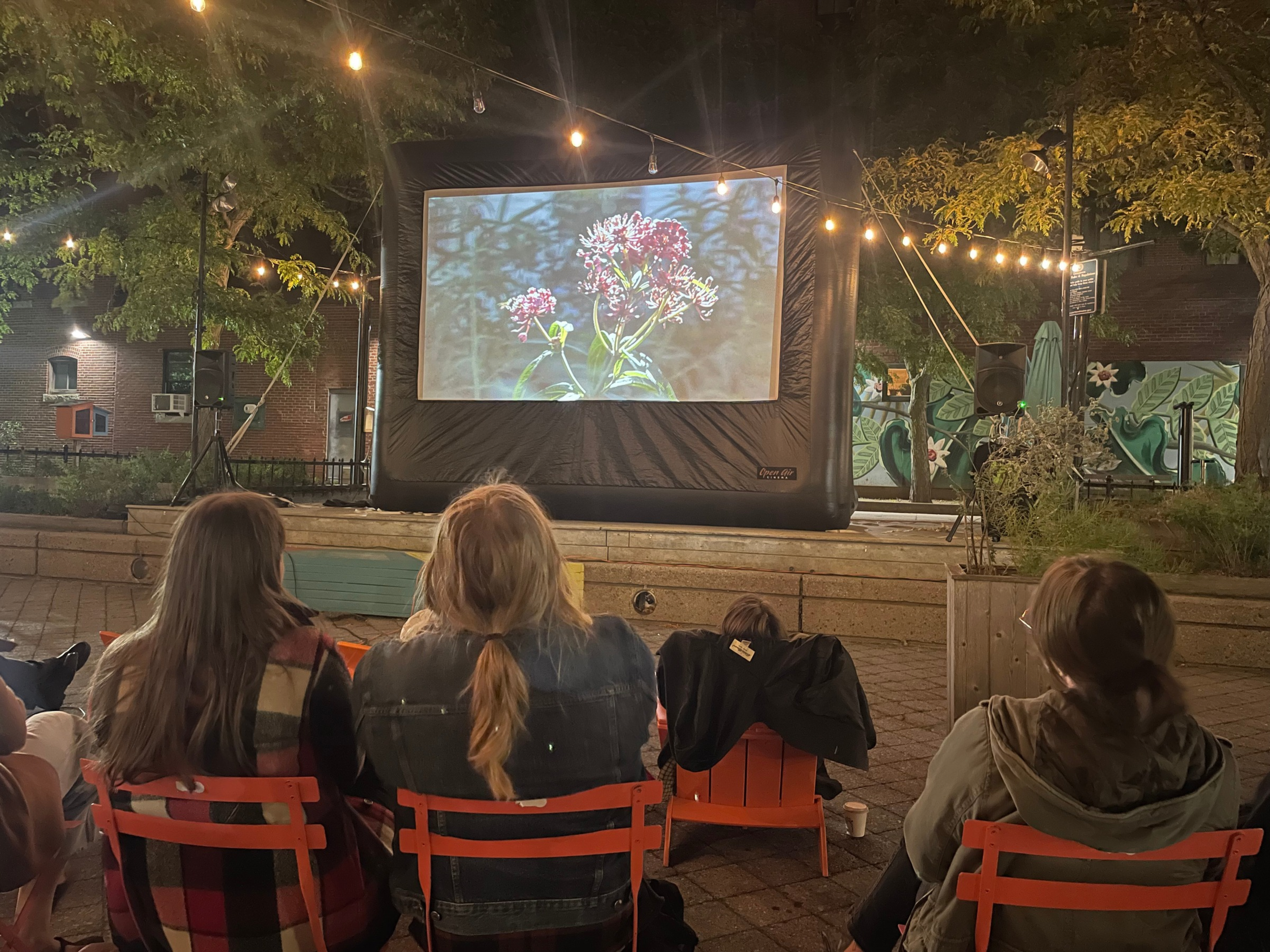 The Buzz on Native Plants