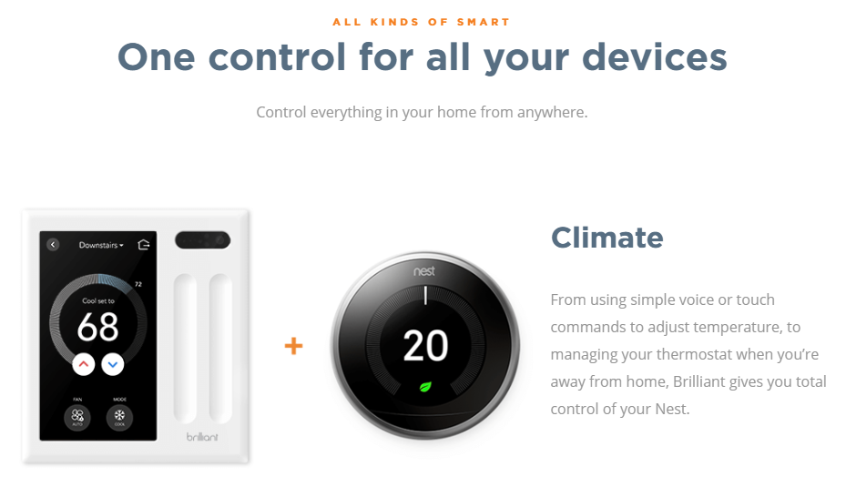 brilliant and nest.PNG