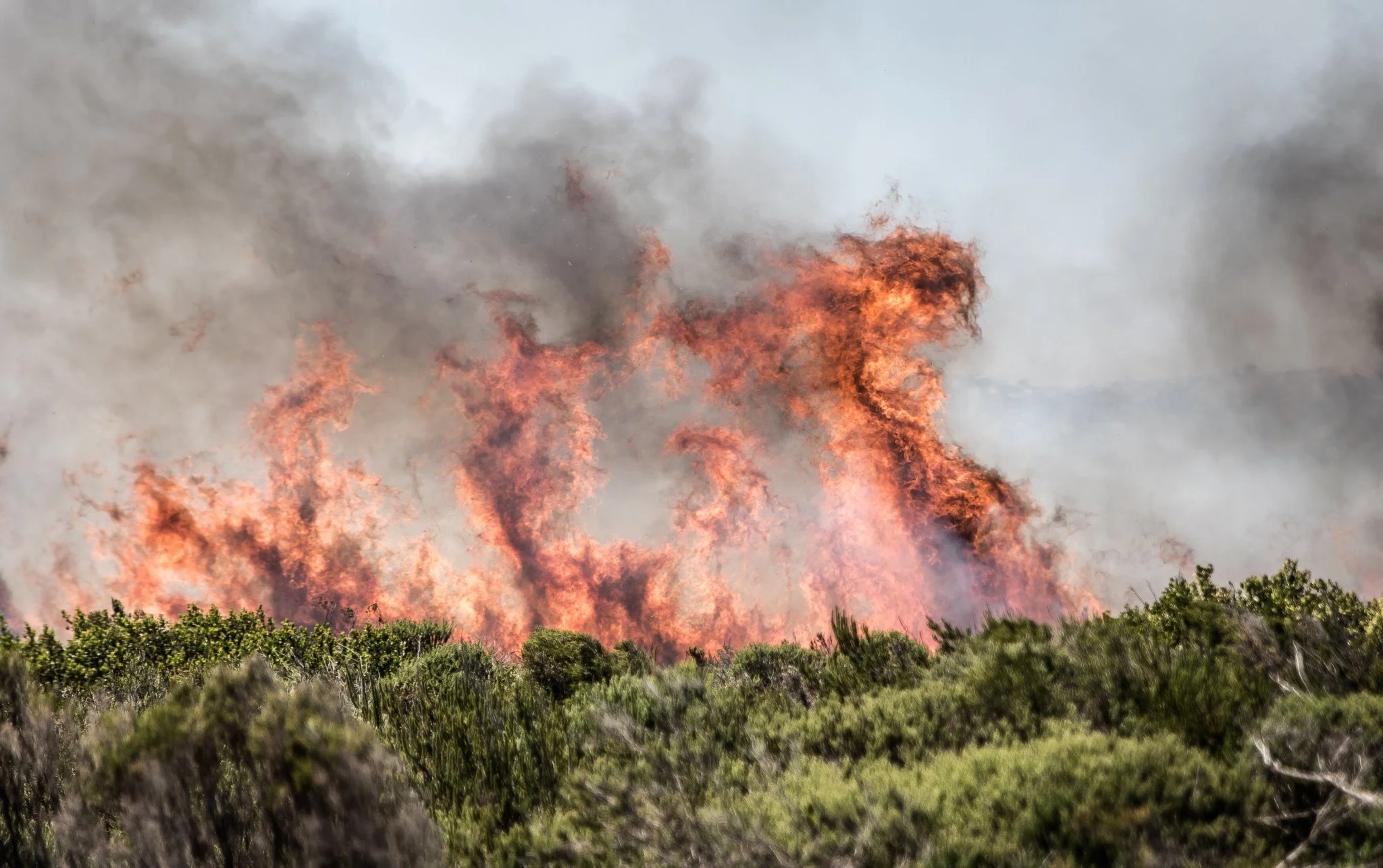 Mzansi Now: Wildfires and Water Shortages Spread Across the Western Cape and Eastern Cape