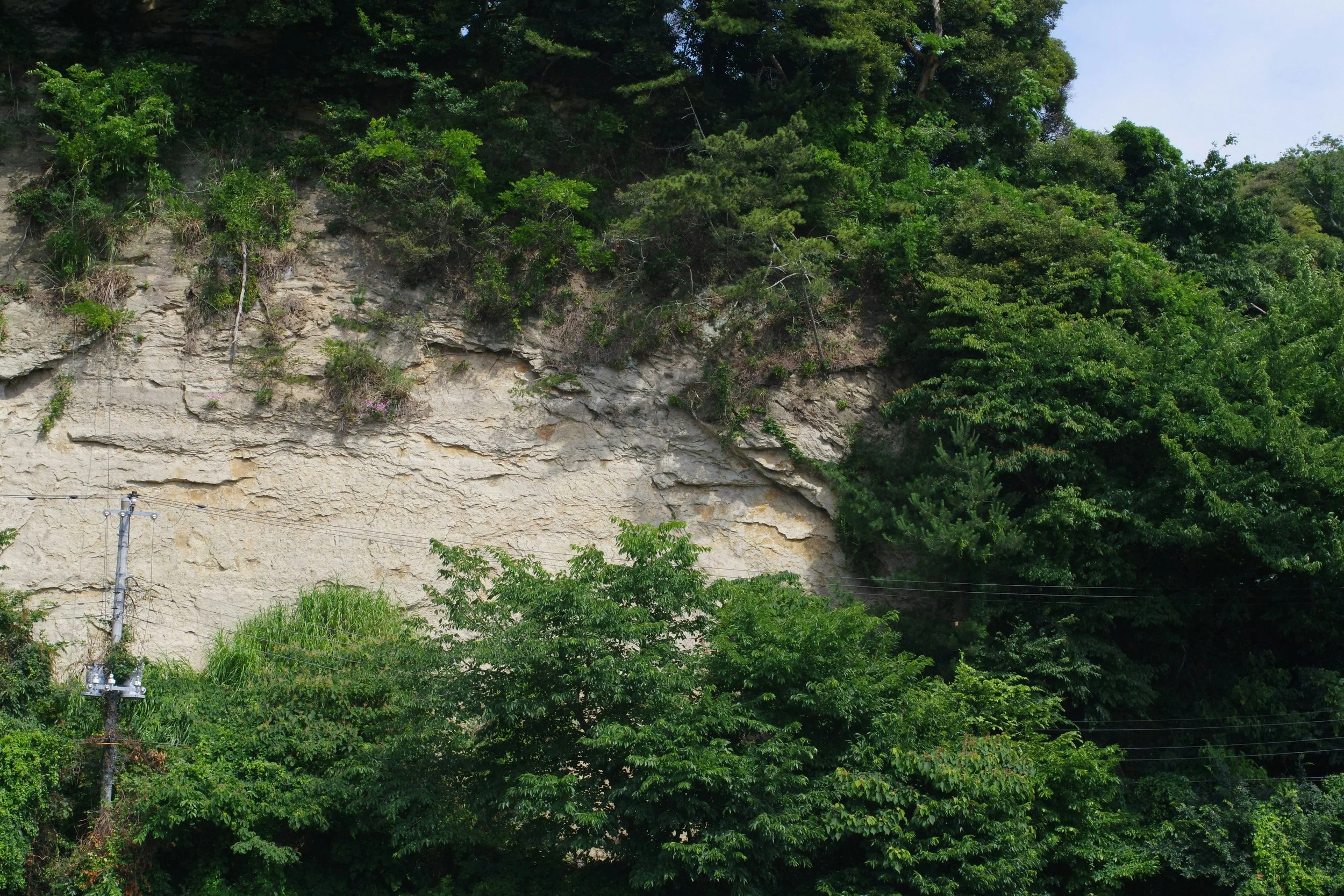Far East: Cave Lions Reveal Hidden History of Japan