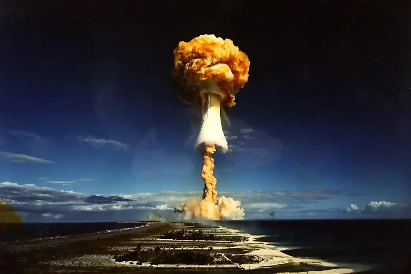 Liberty Expose: Up In Arms