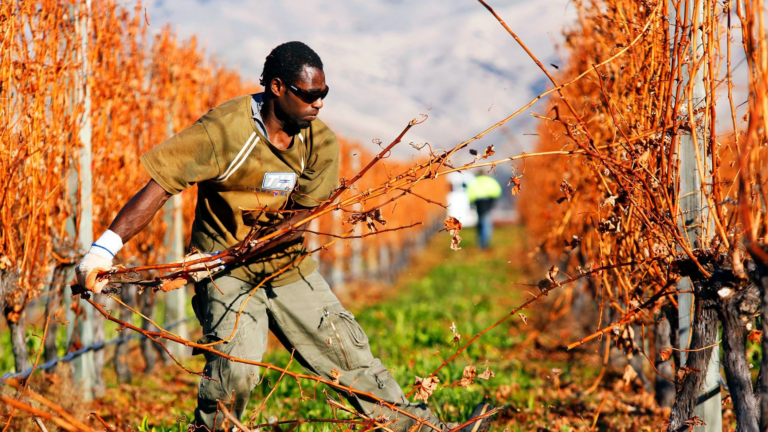 Across ANZ: Temporary Migrants Uphold The New Zealand Workforce