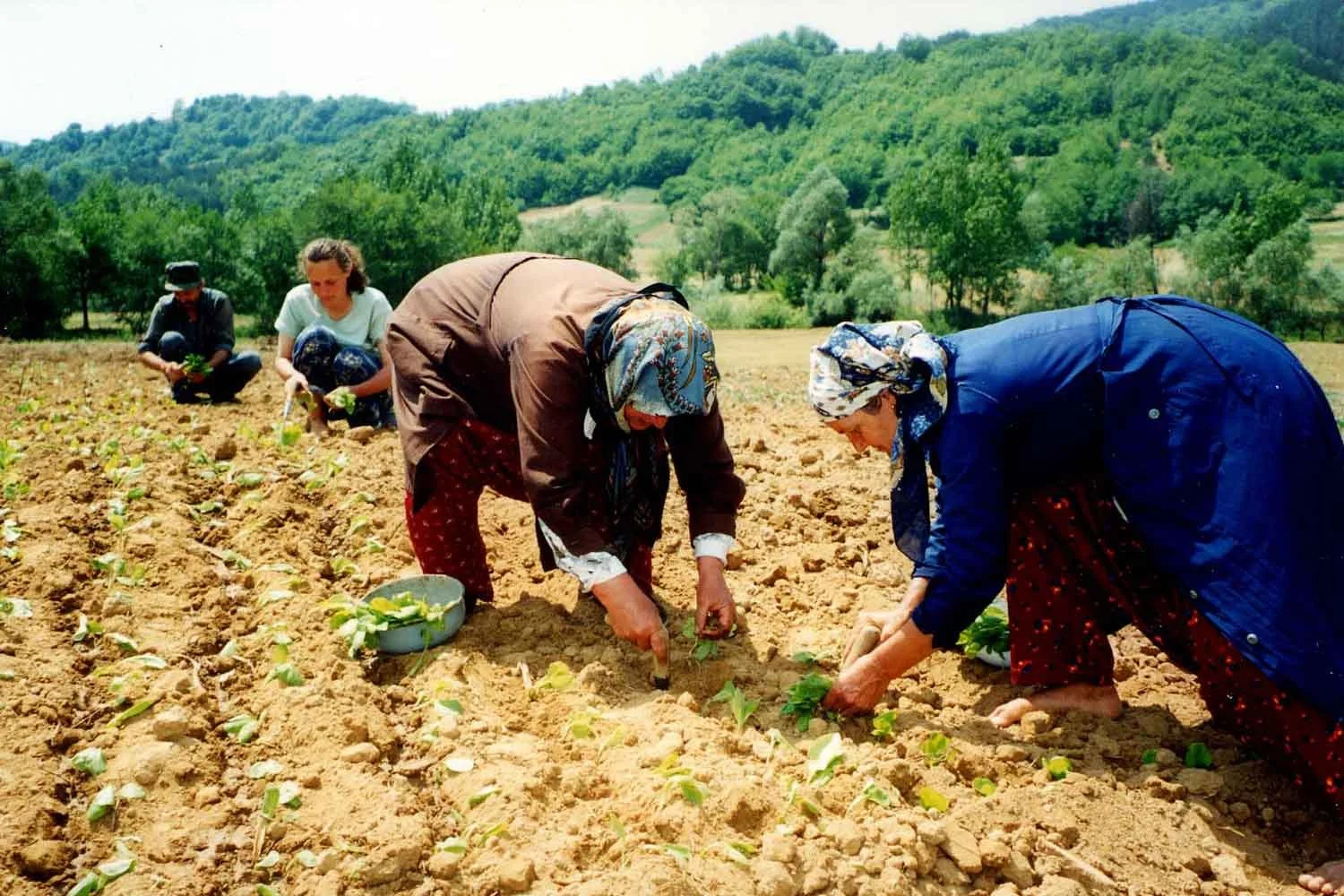 EU Currents: Protecting Bulgaria’s Farmers