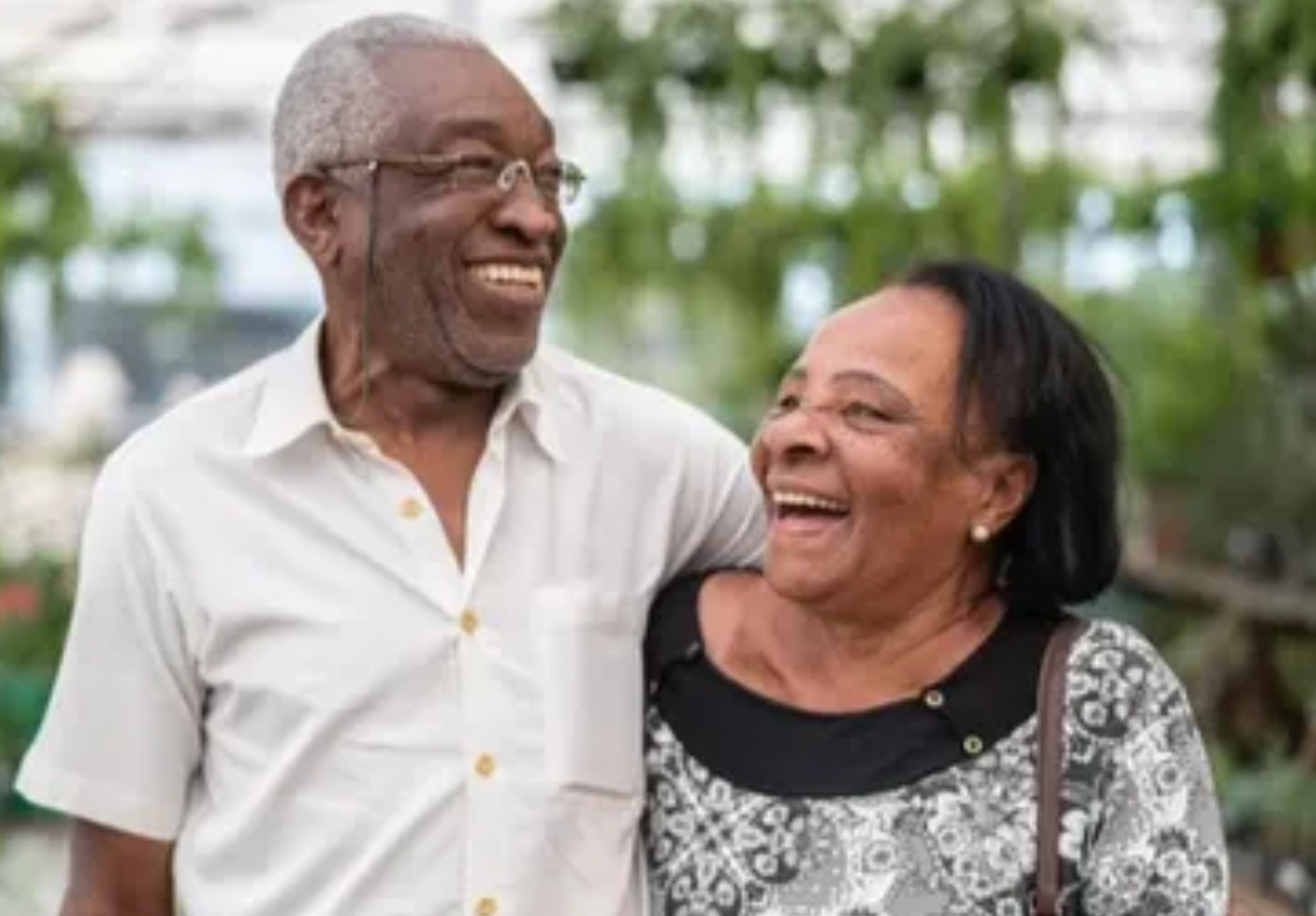 Caribbean Review: Curaçao’s Aging Population: Can Migration Support The Economy Without Reshaping Identity?