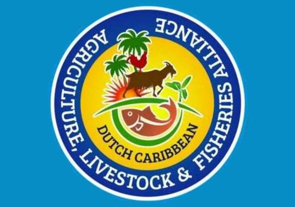 Caribbean Review: Sint Eustatius Joins New Alliance to Strengthen Hurricane Resilience&nbsp;Introduction