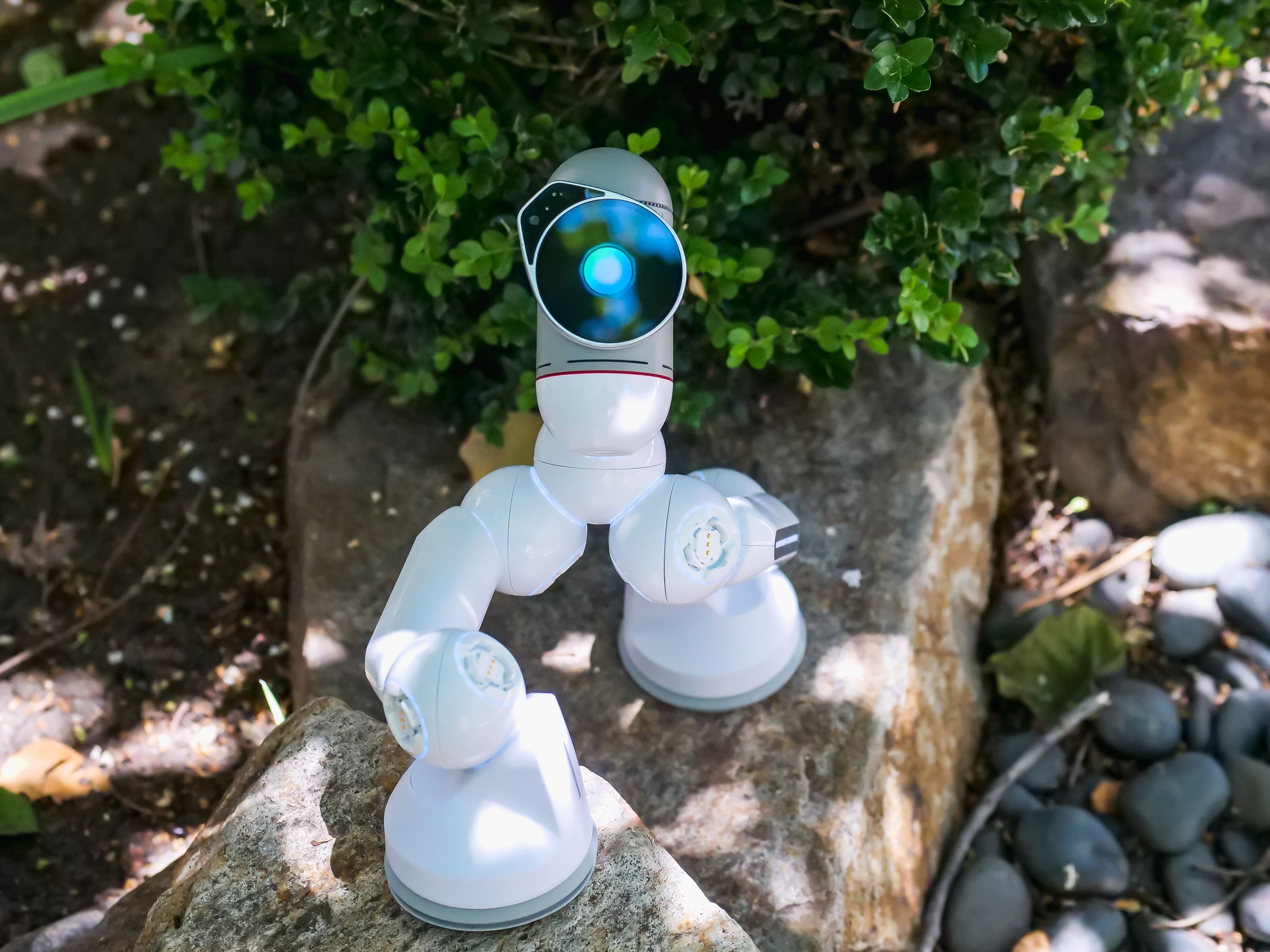 Far East: How Taiwan Is Leveraging AI and Legal Reform to Combat Illegal Waste Dumping