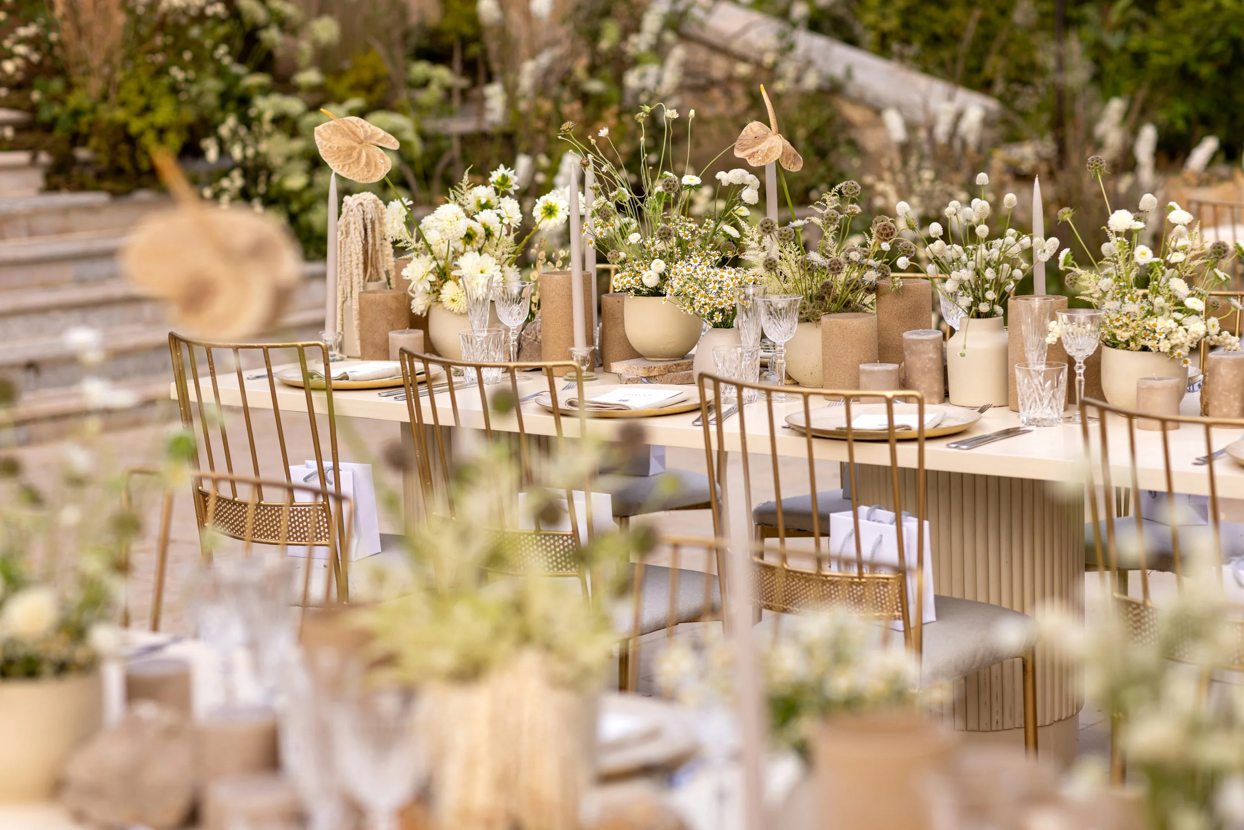 TAMARA & ANTONIO 2024 (1).JPG