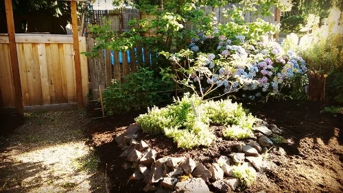 Entry path gets new mulch. The old garden awaits its makeover. 