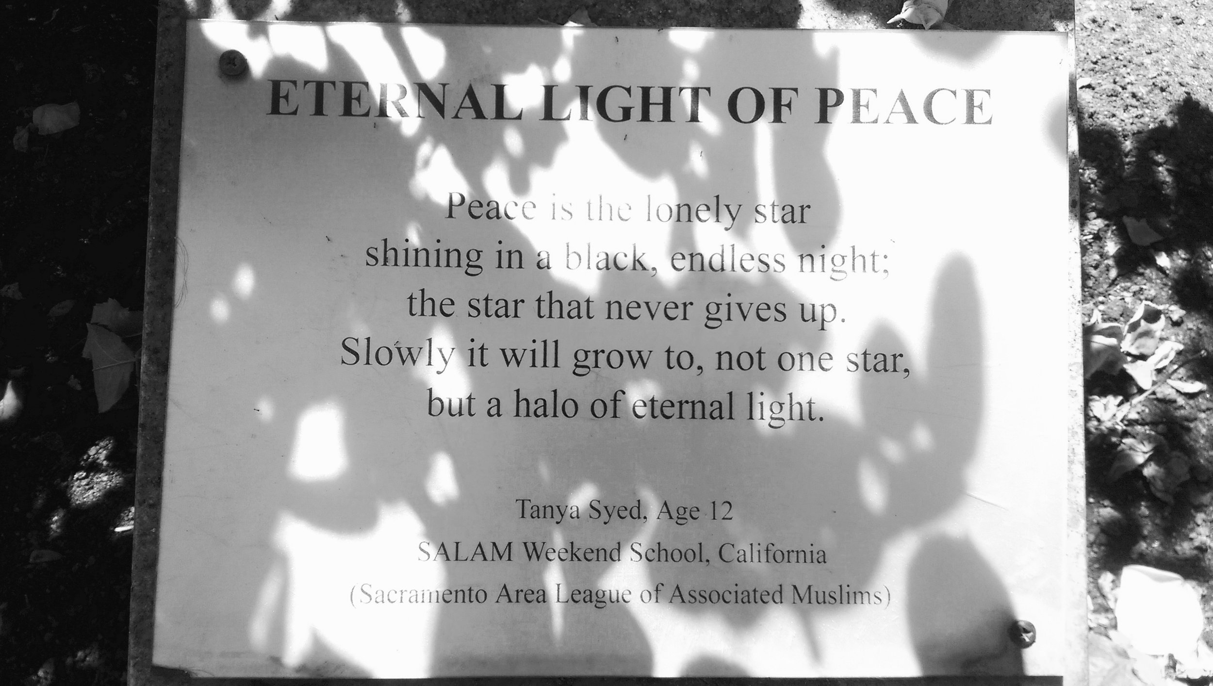 Image from the Sacramento State Capitol garden. 