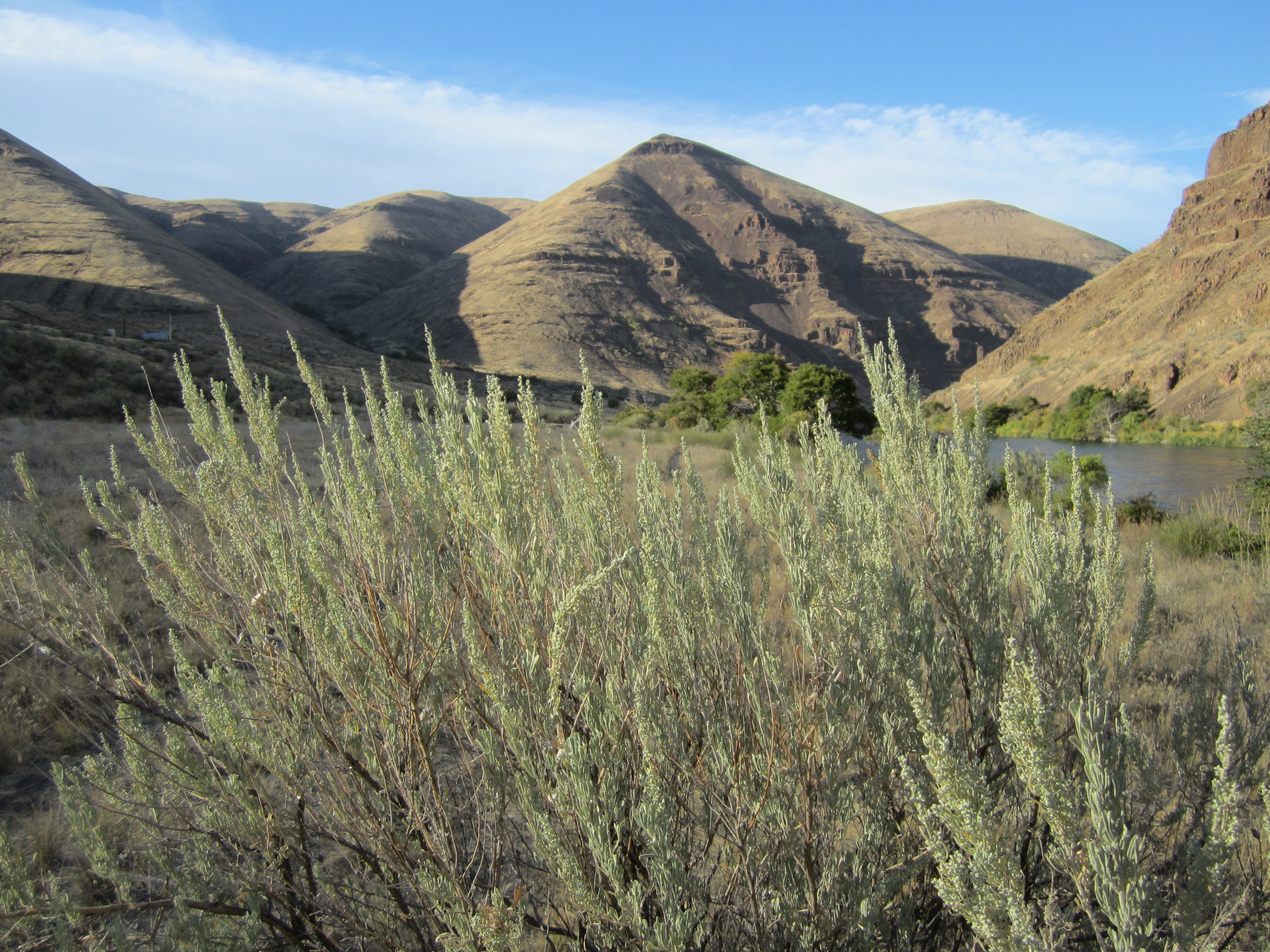 Getting Ready for Summer! 