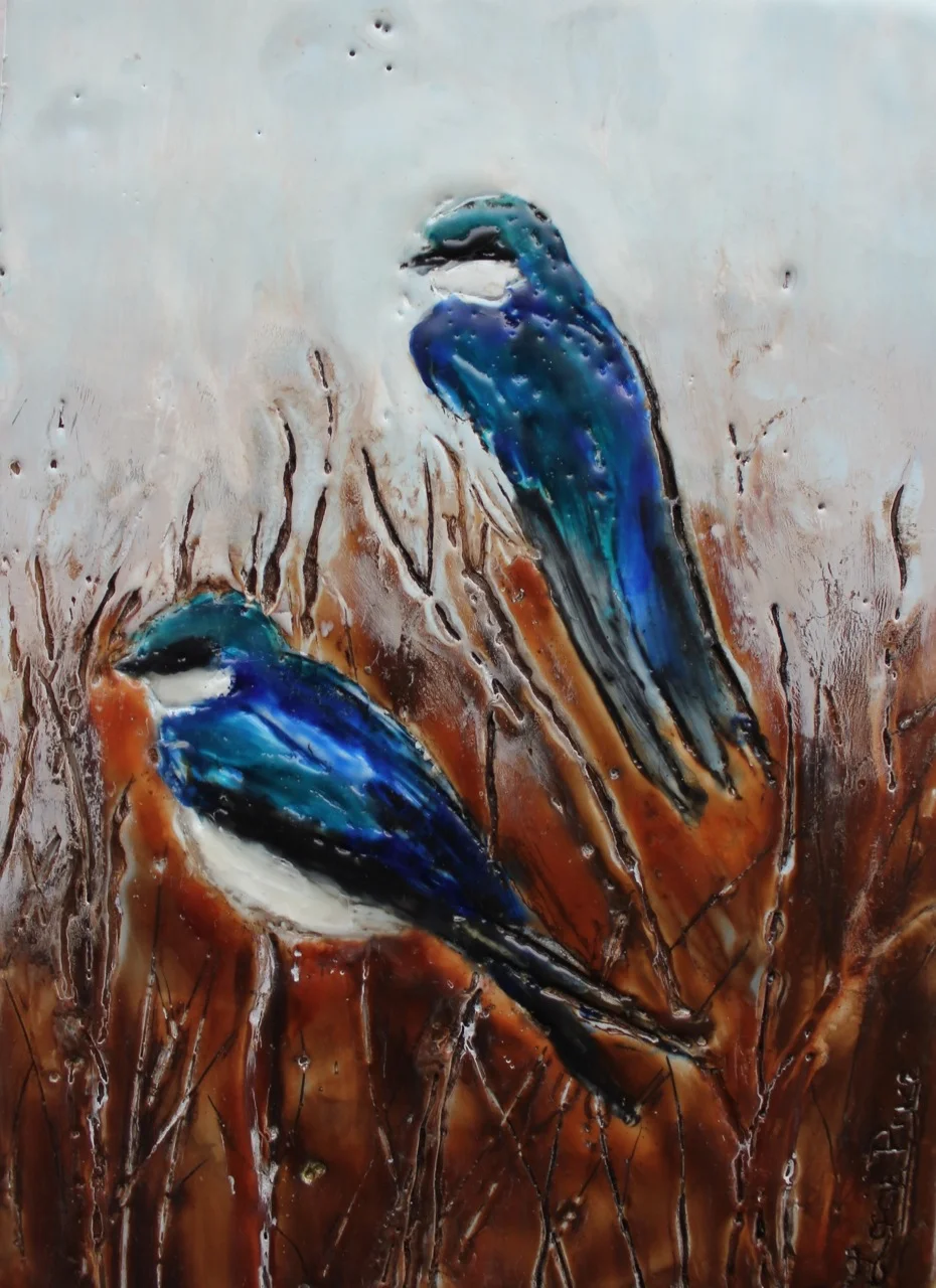 Tree Swallows