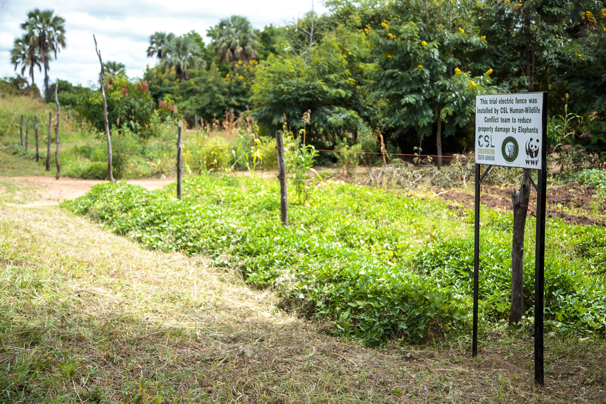 Trial electric fence 