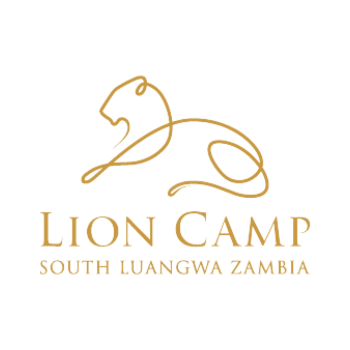 Lion Camp_square.png