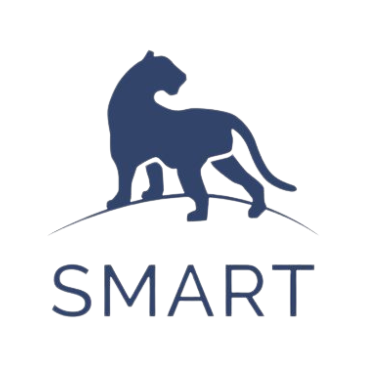 SMART logo_square.png