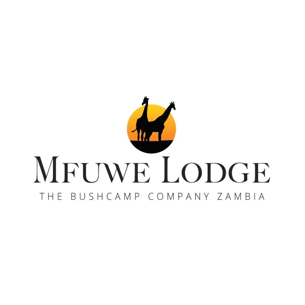 Mfuwe Lodge_sq new.png